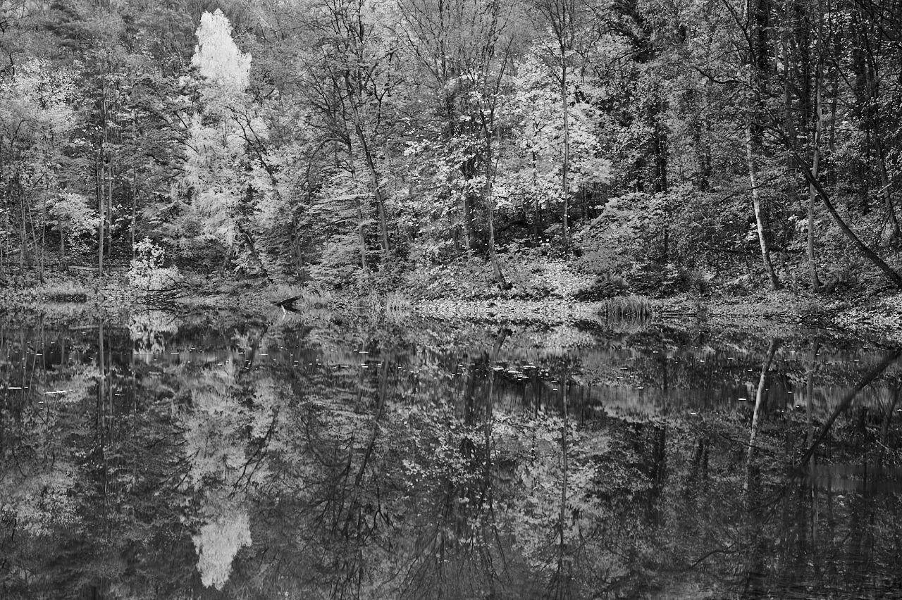 RSphotos-23-11-13-RSP_6793-BW.jpg