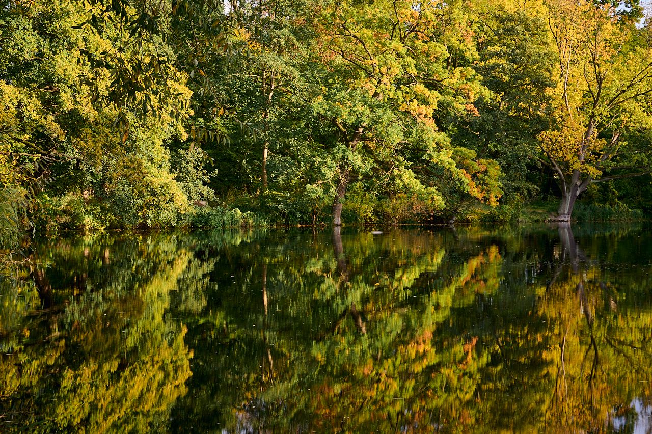 RSphotos-RSP_8556.jpg