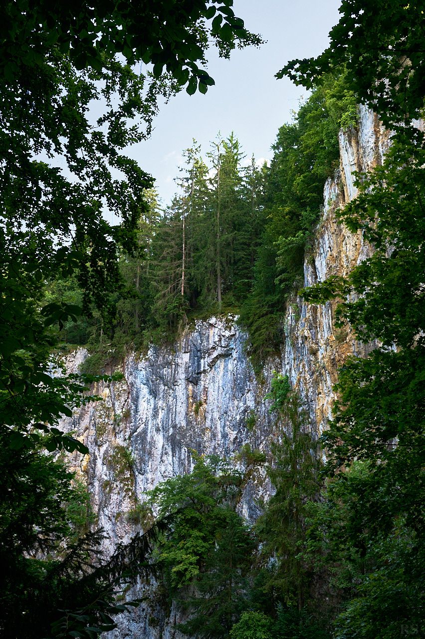 RSphotos-25-08-14-RSP_2532.jpg