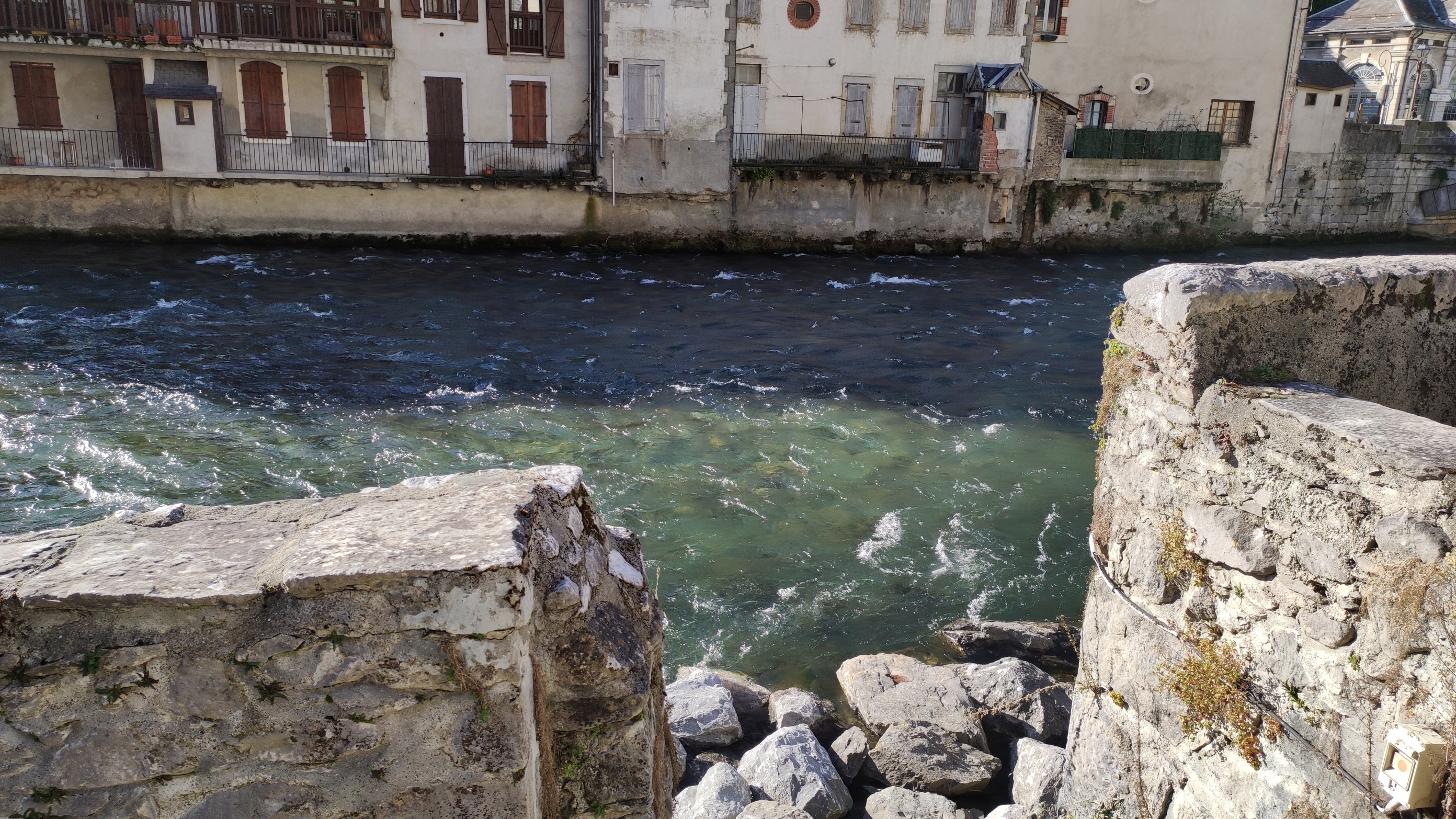 IMG_20220102_122013.jpg