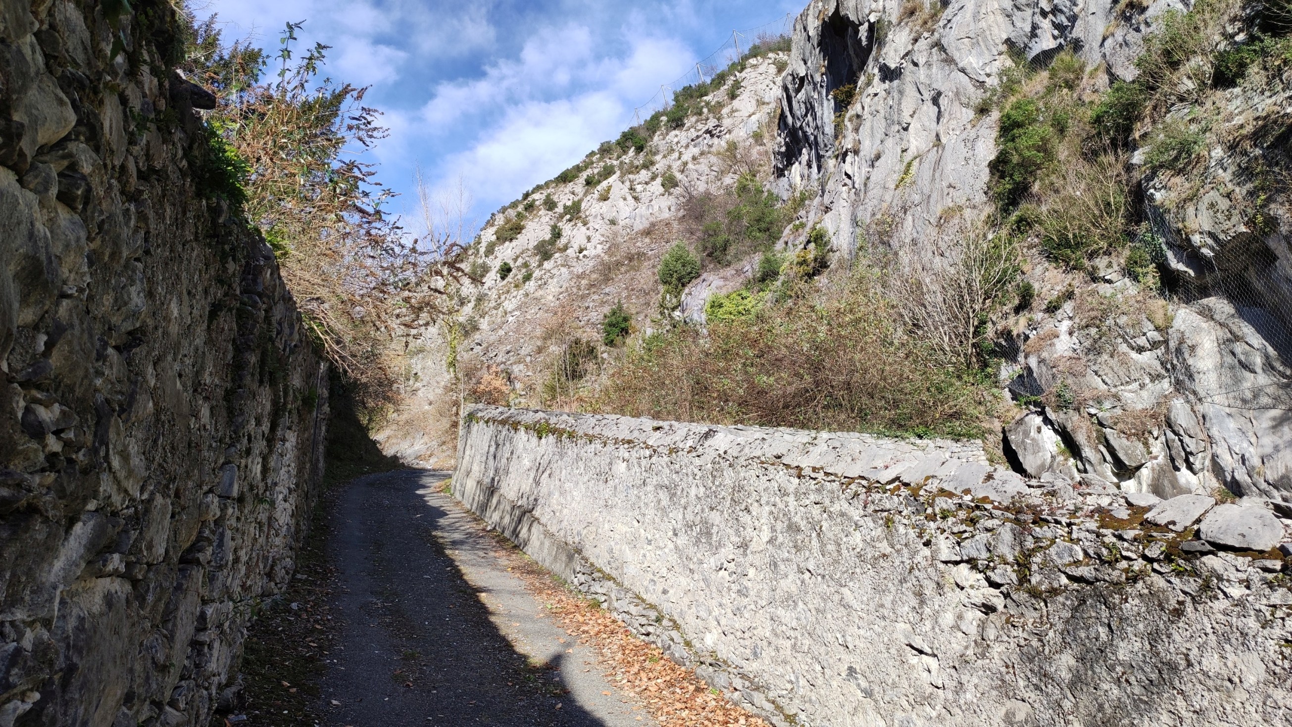 IMG_20220102_123636.jpg