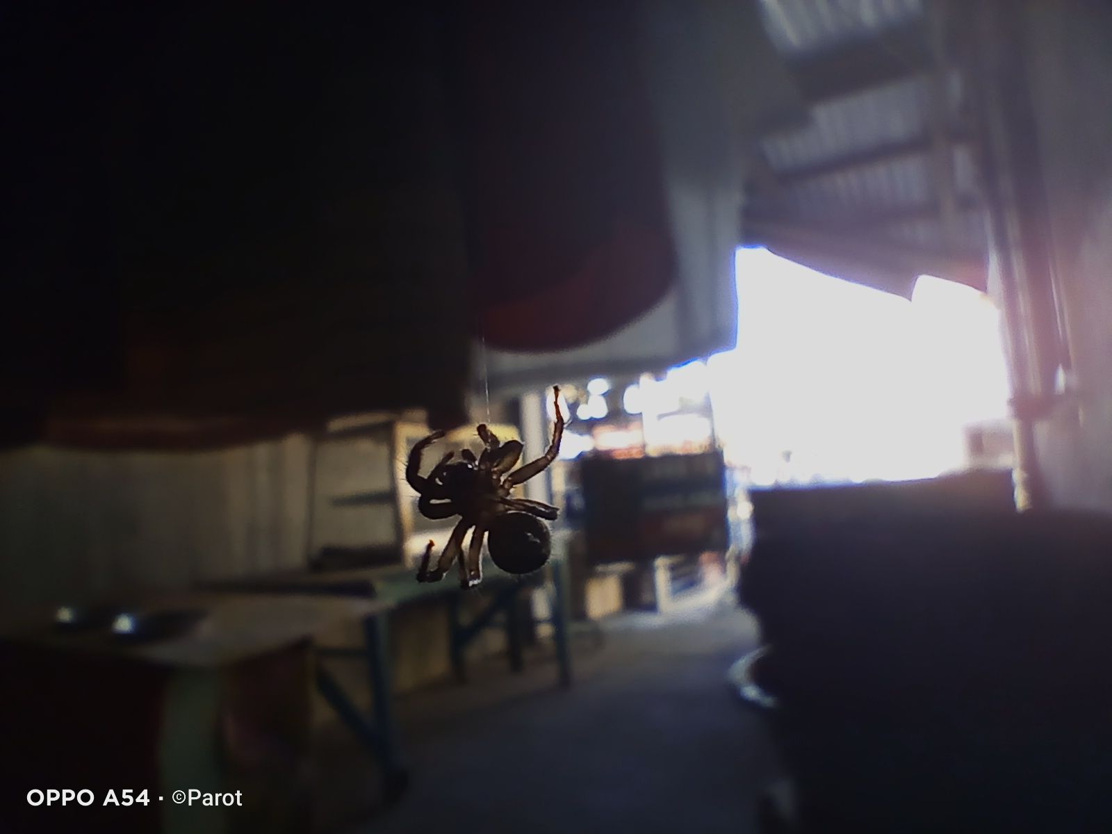 IMG20221126161735.jpg