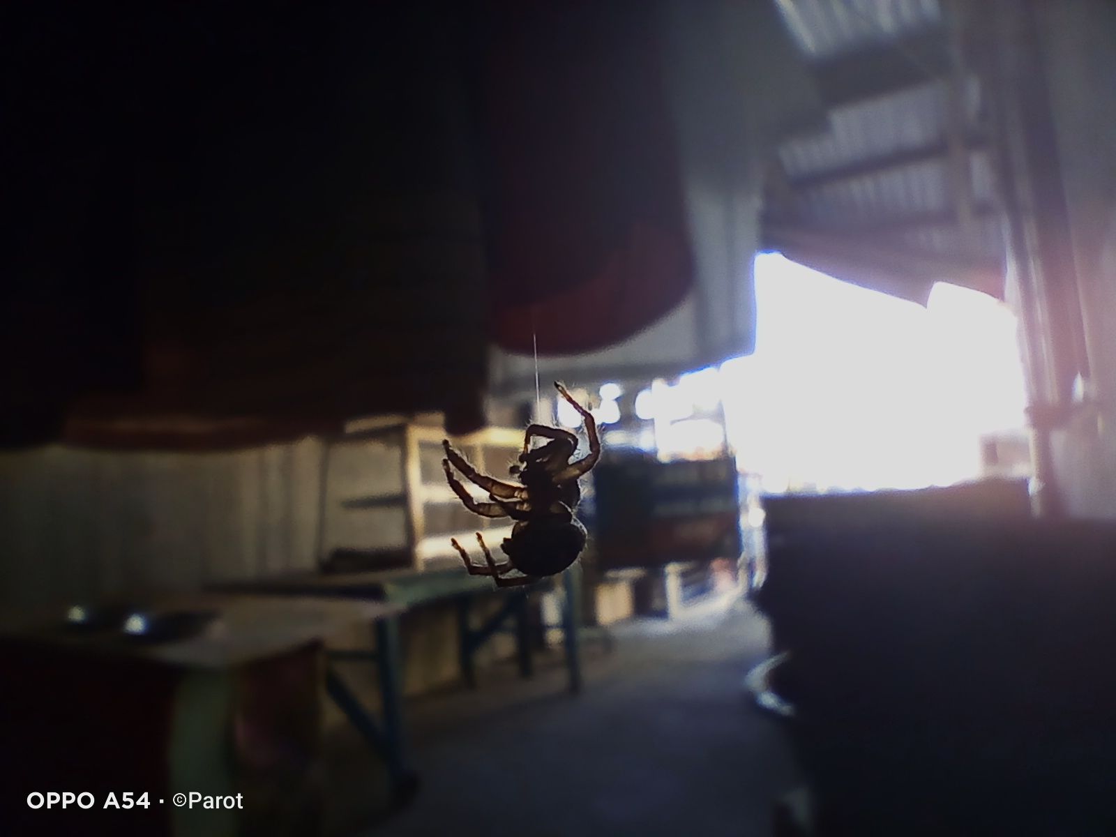 IMG20221126161731.jpg
