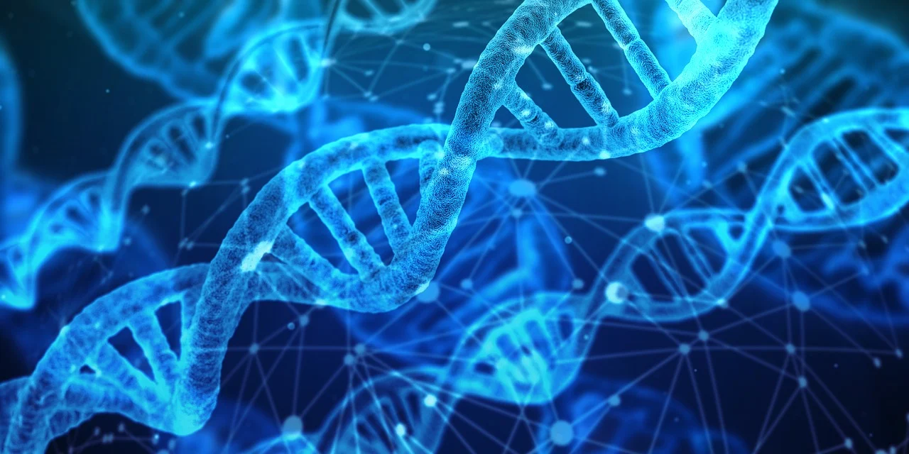 dna-3539309_1280.webp.jpg
