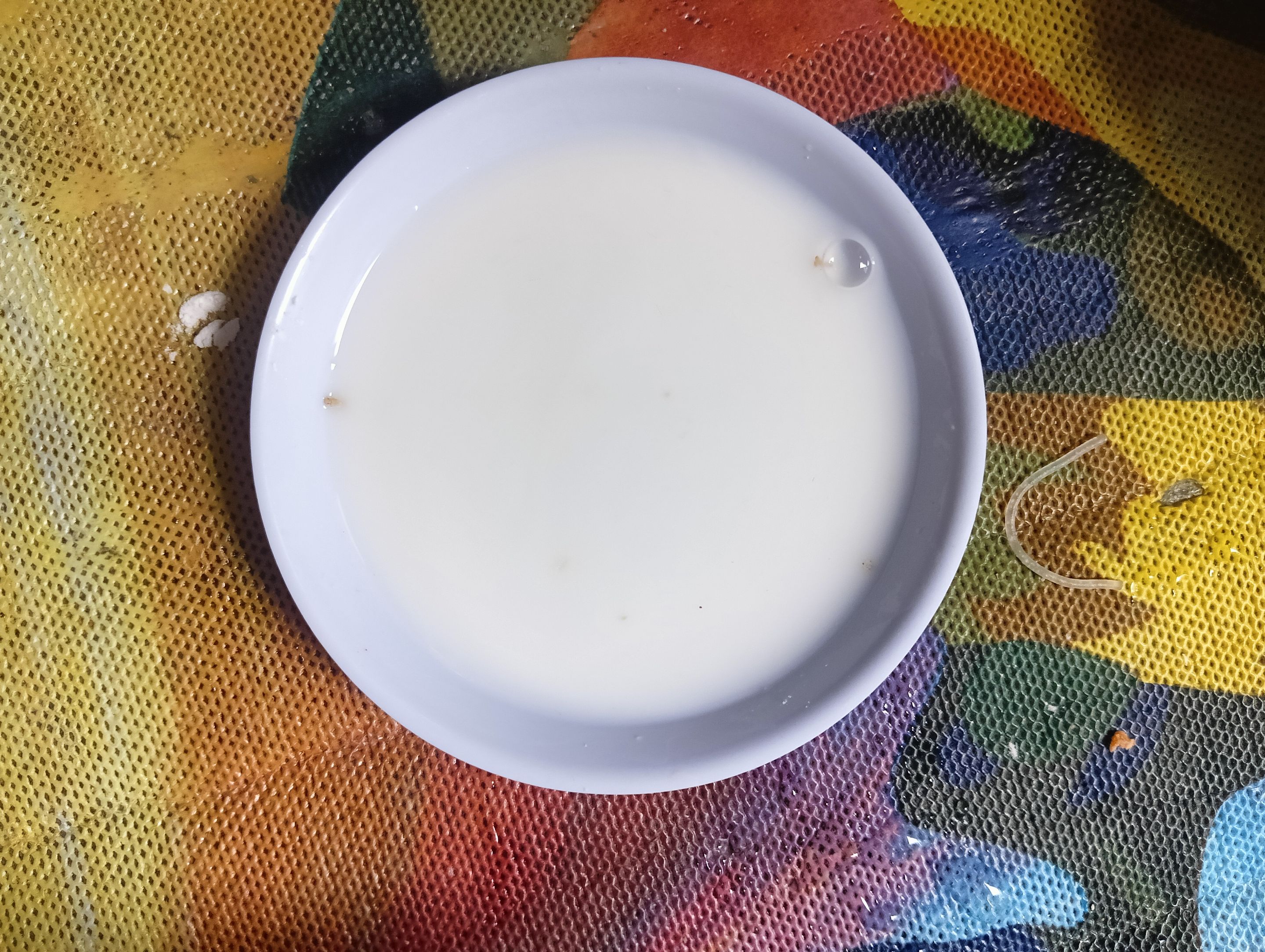 20250802130838.jpg