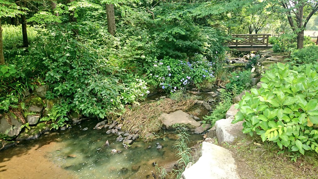 IMG_ur7e0l.jpg