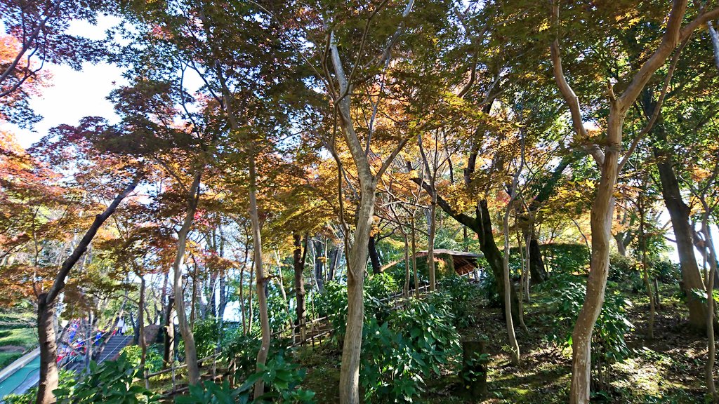 IMG_-uzwon5.jpg