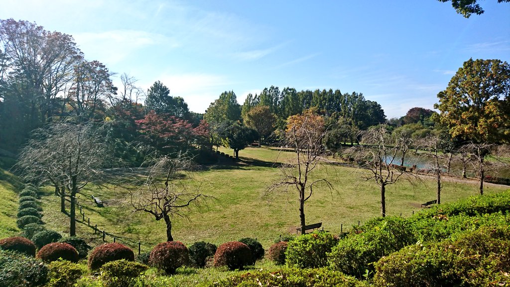 IMG_-qmmp21.jpg