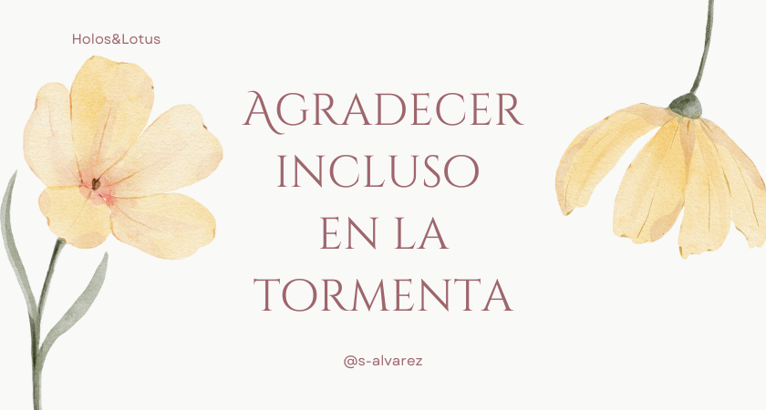 @s-alvarez (5).png