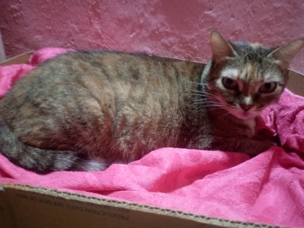 WhatsApp Image 2025-11-01 at 6.53.10 PM.jpeg