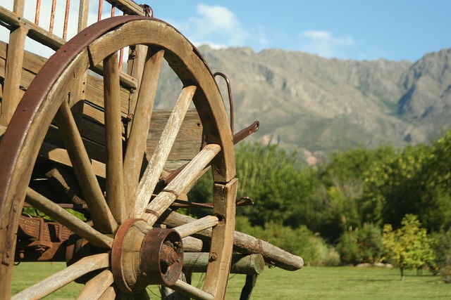 cart-1686045_640.jpg