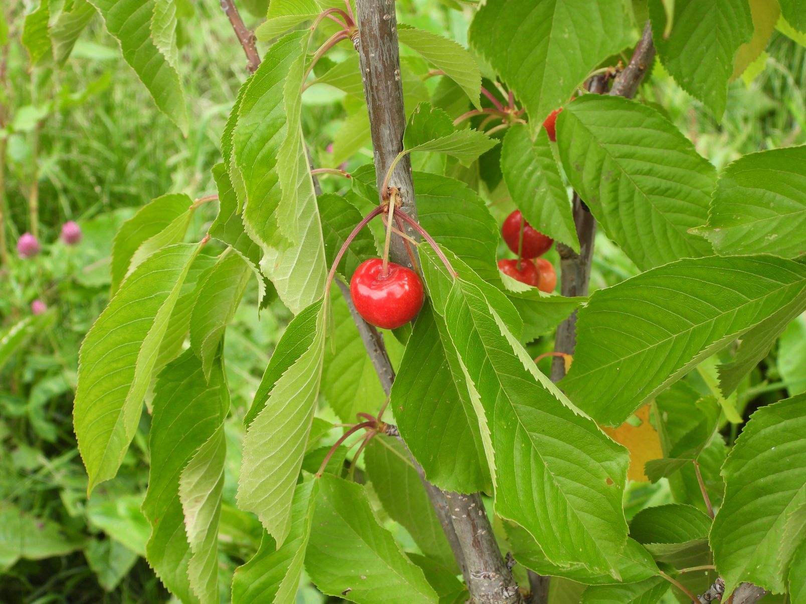 DSCN1049.JPG