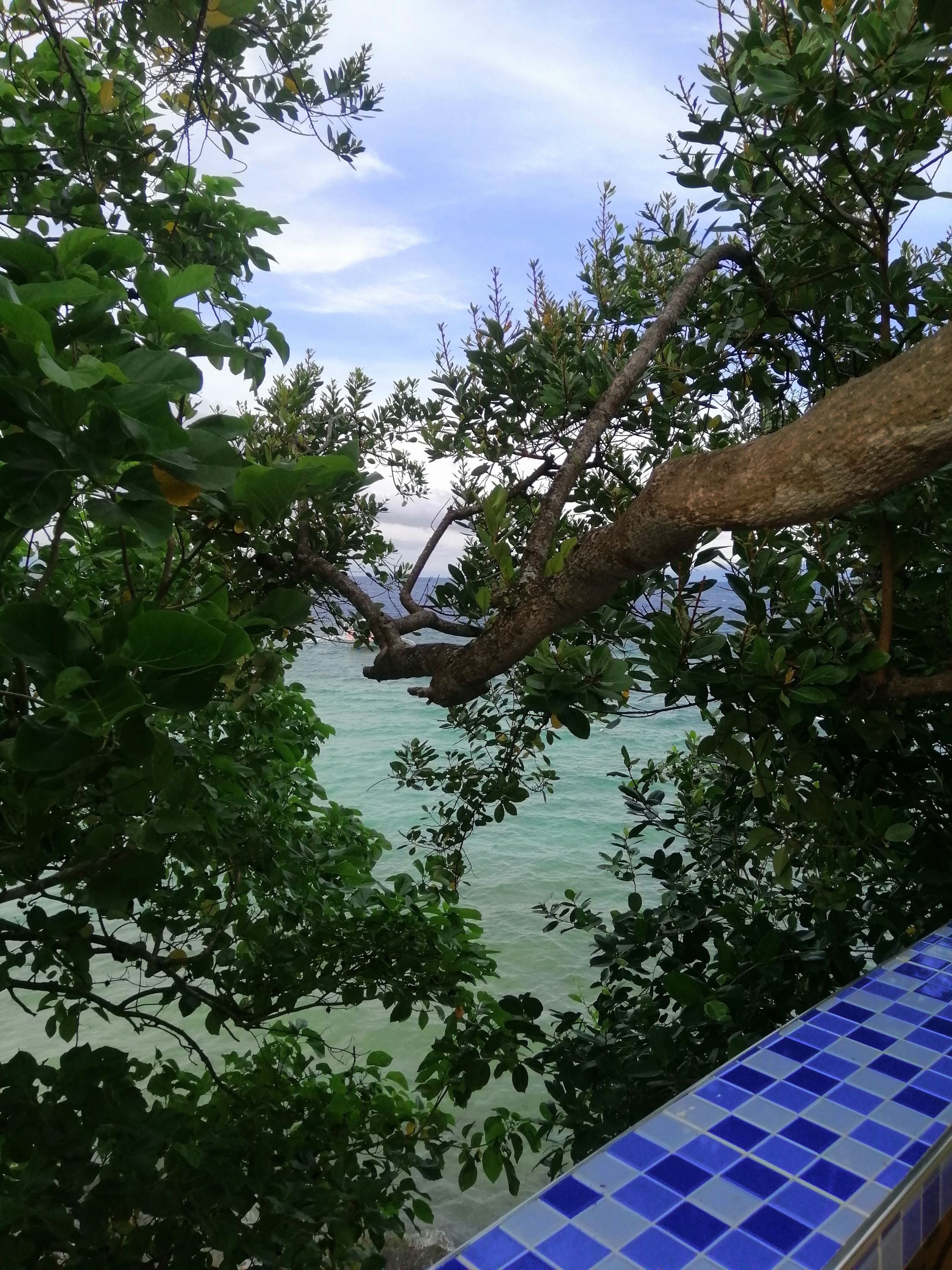 IMG_20220728_070739.jpg