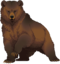 1 (5).png