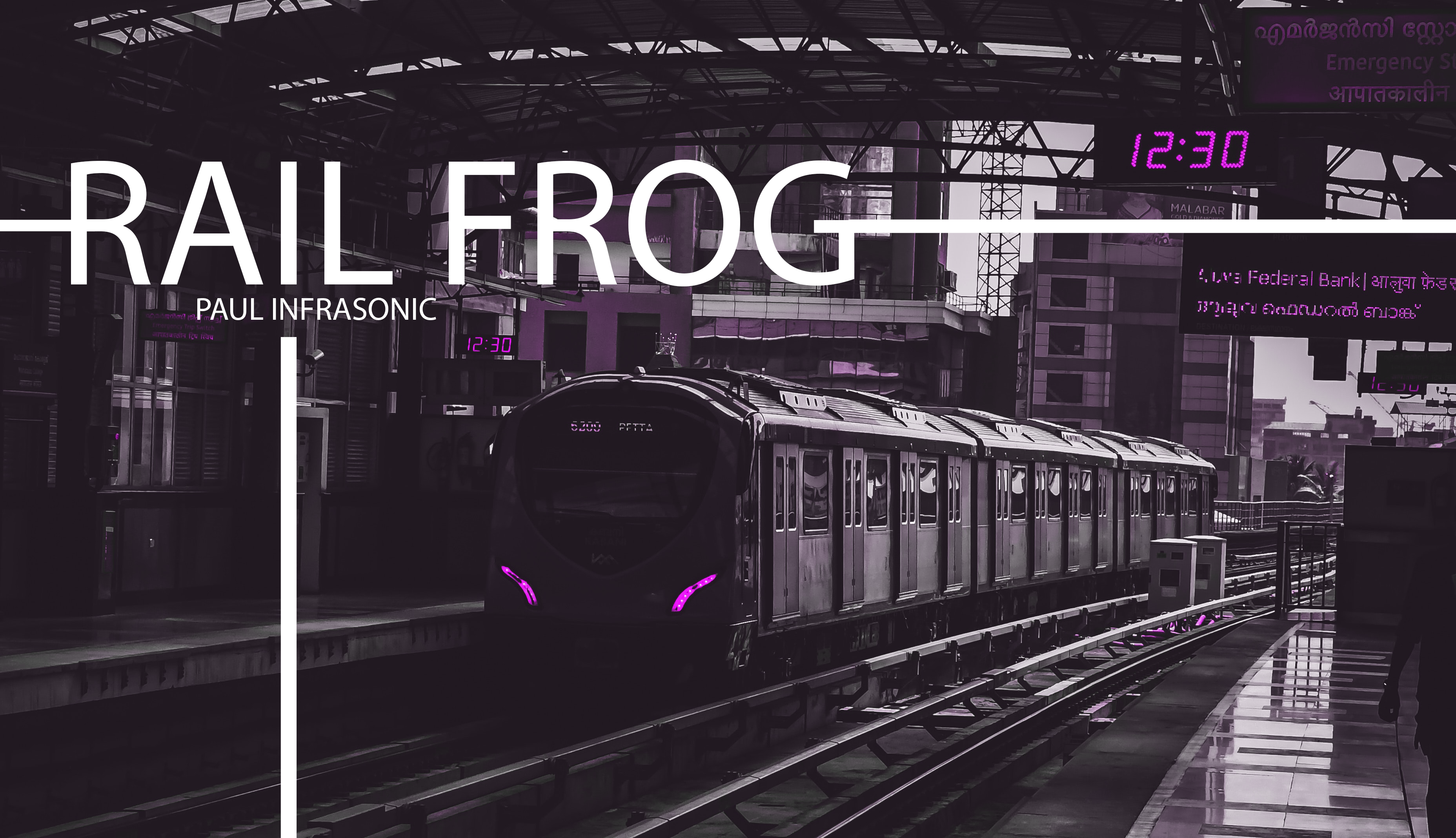 Rail Frog Cover.png
