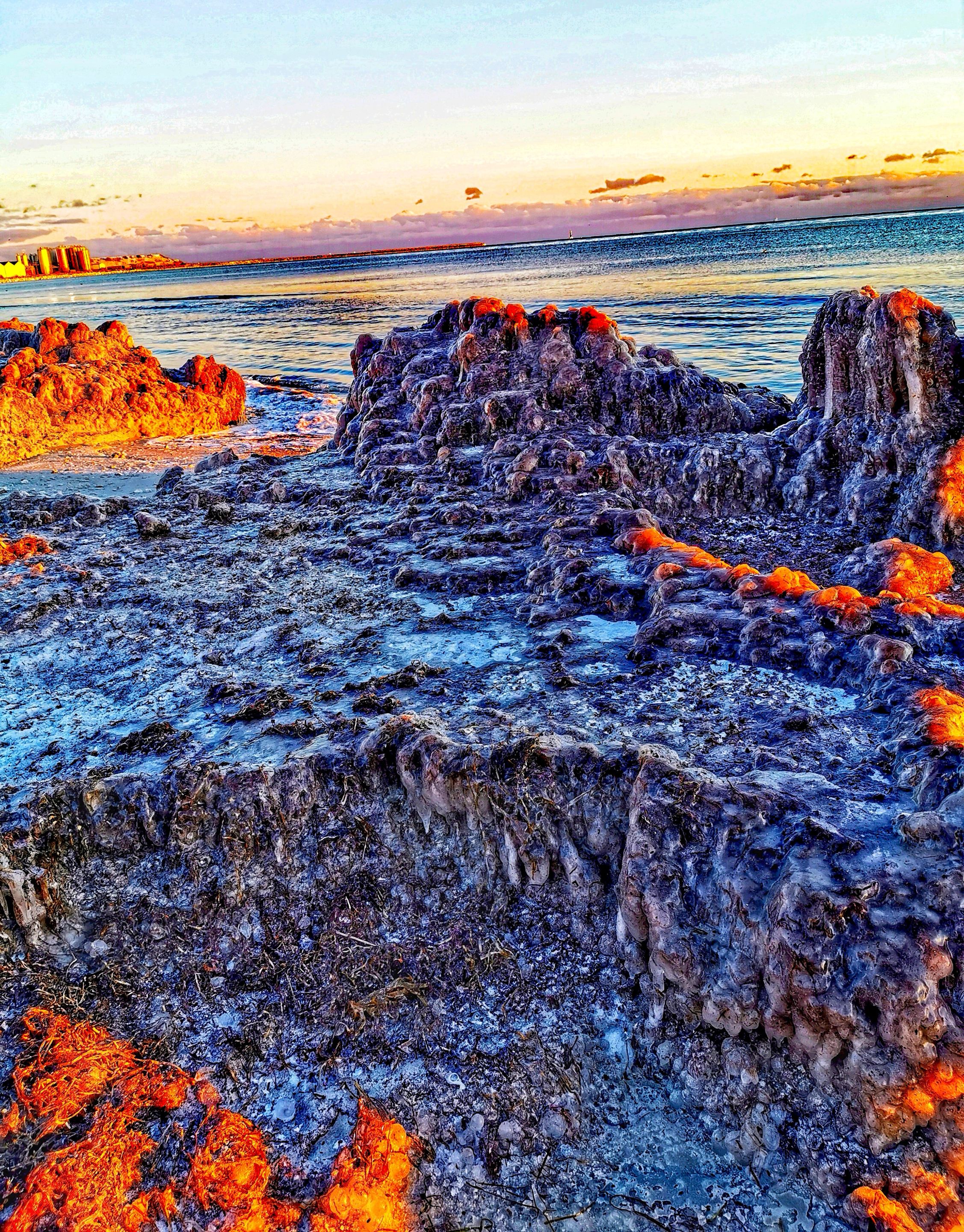 IMG_20211205_224445_edit_292562985863169.jpg