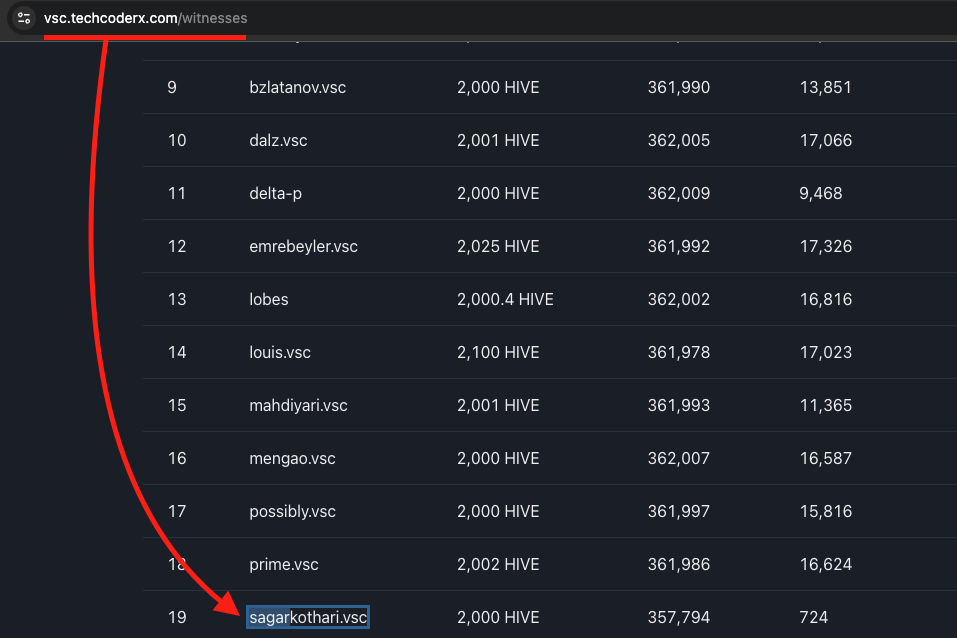 VSC Witness Node
