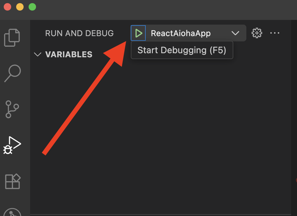 VS Code Debug