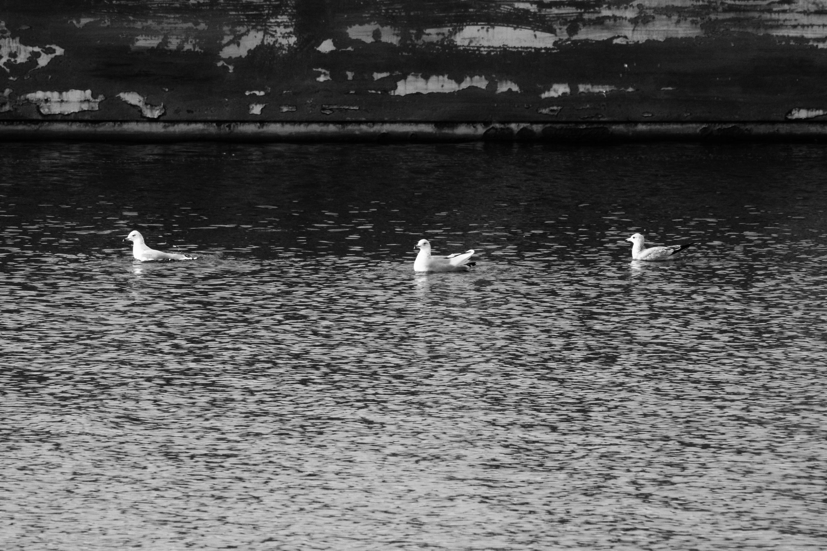 IMG_0876_edited.jpeg