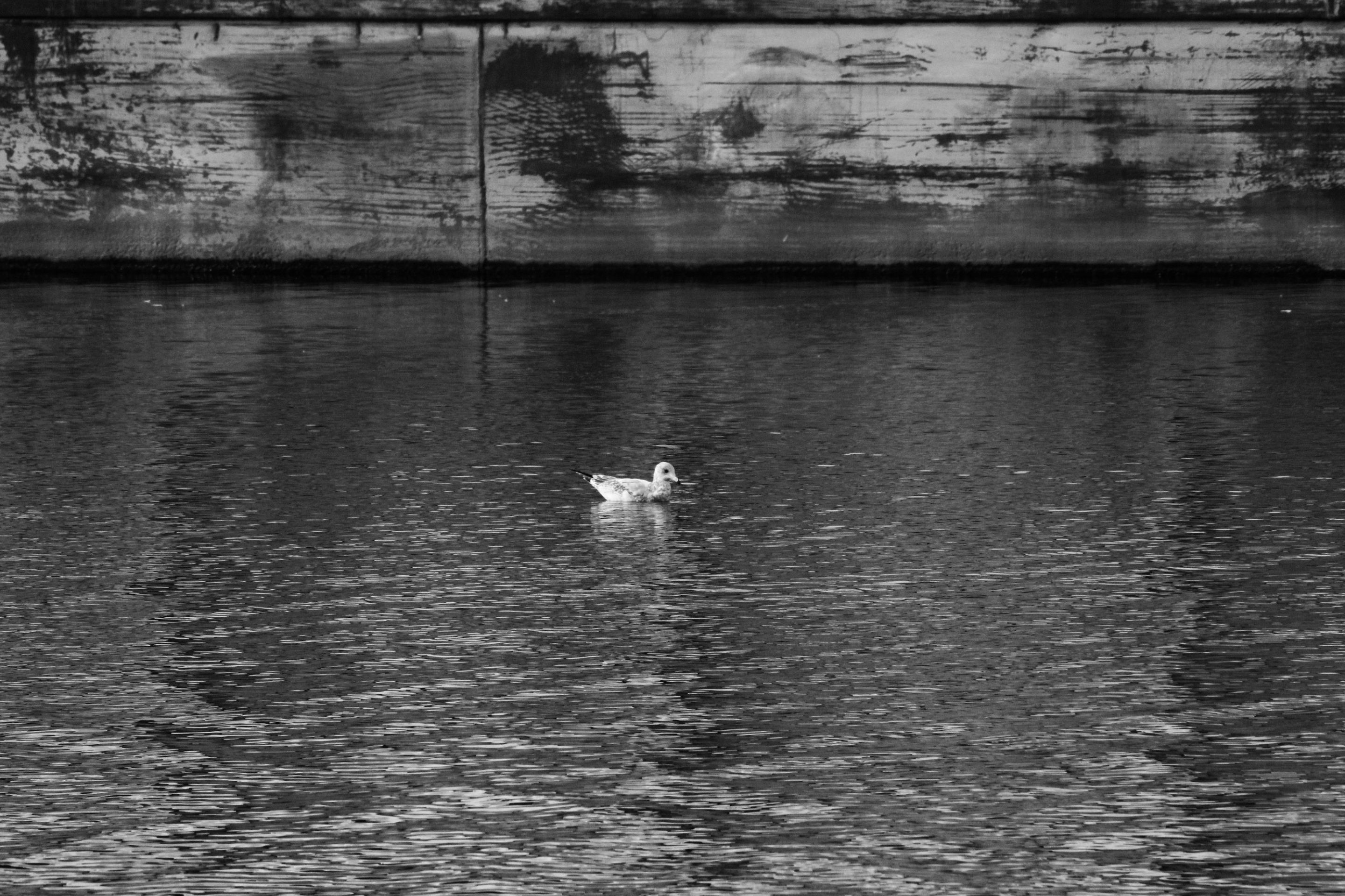 IMG_0893_edited.jpeg