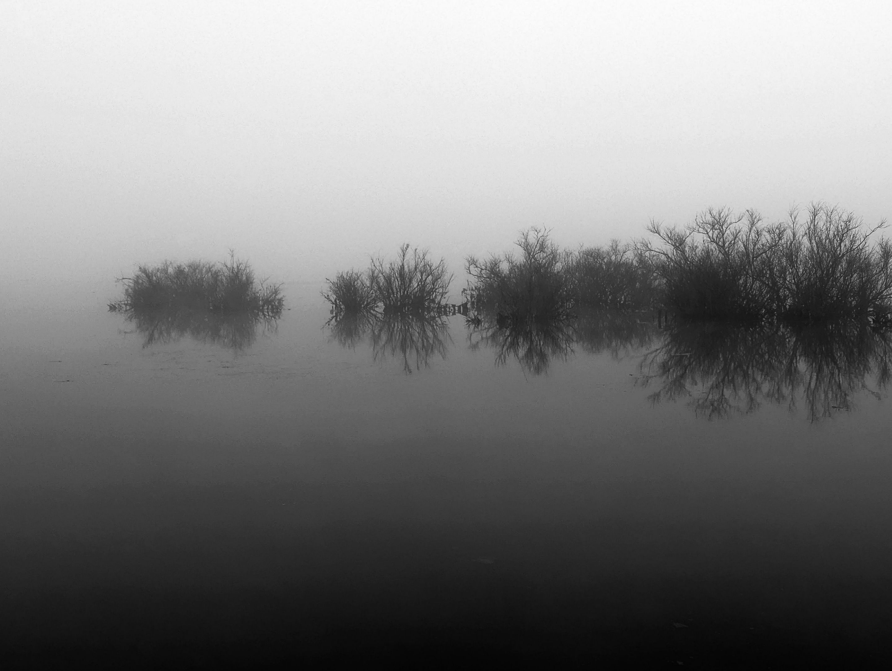 PXL_20230515_114506637 (1).jpg