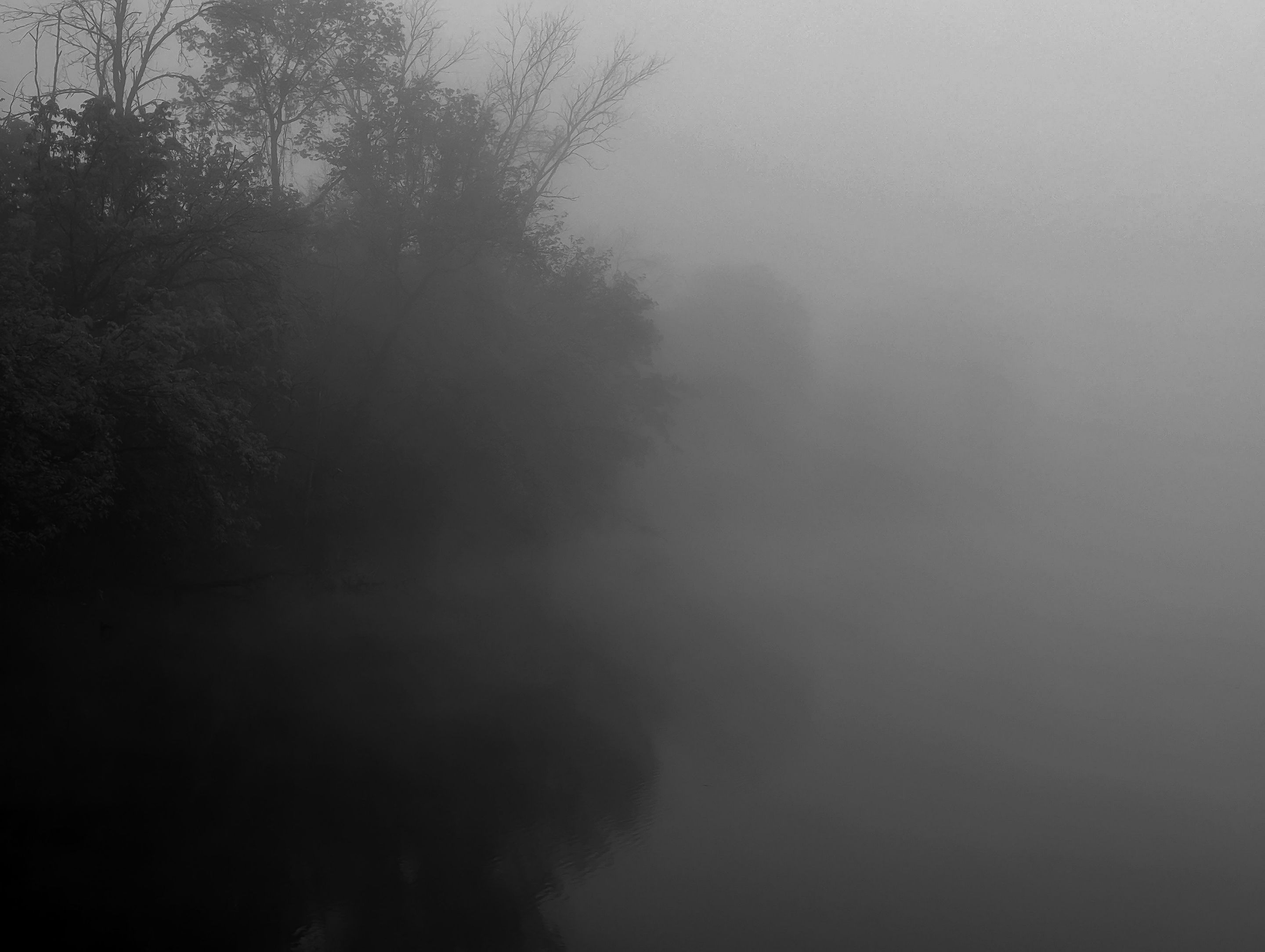 PXL_20230515_114408235 (1).jpg