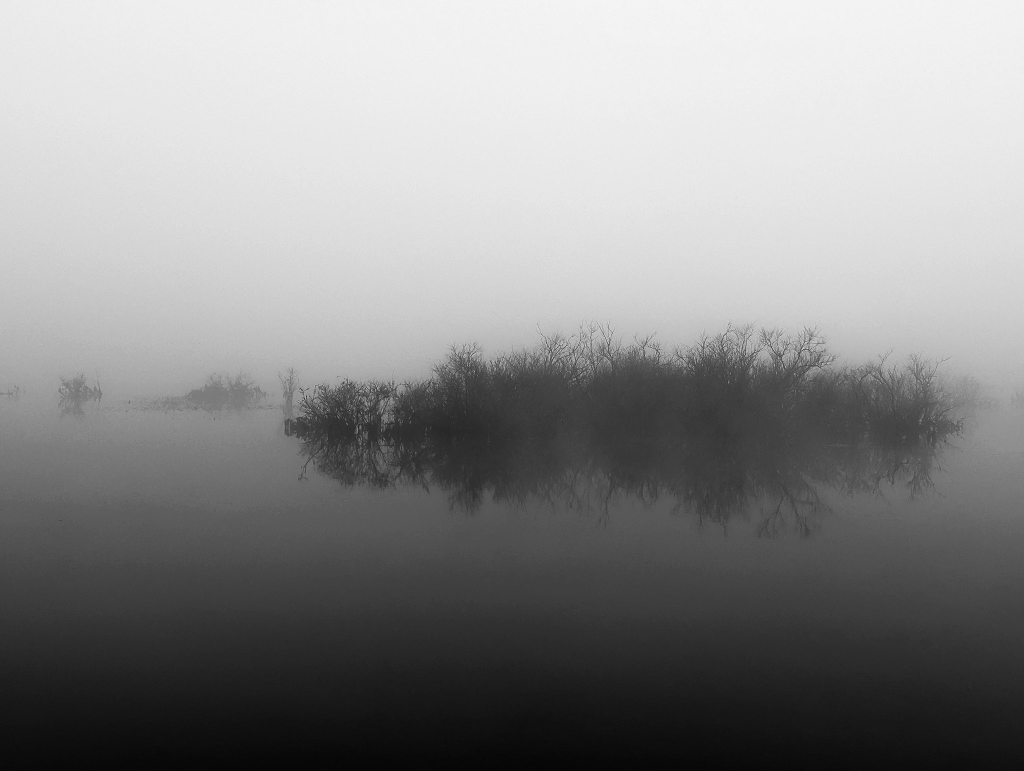 PXL_20230515_114431026 (1).jpg