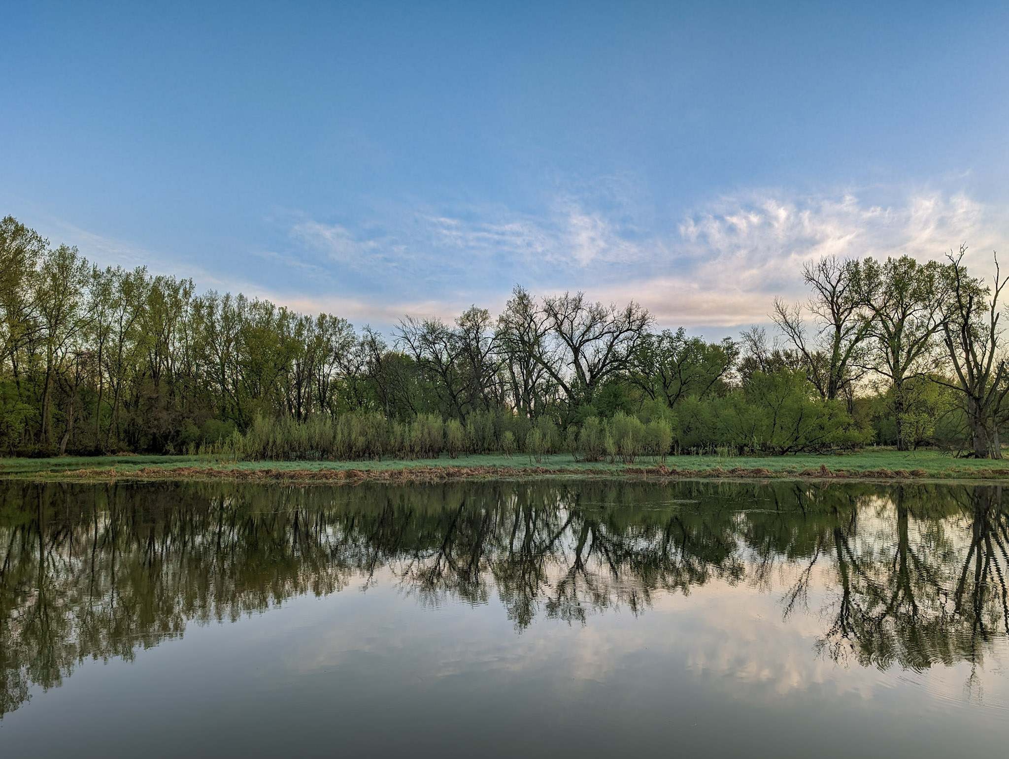 PXL_20240501_112422521 (1).jpg