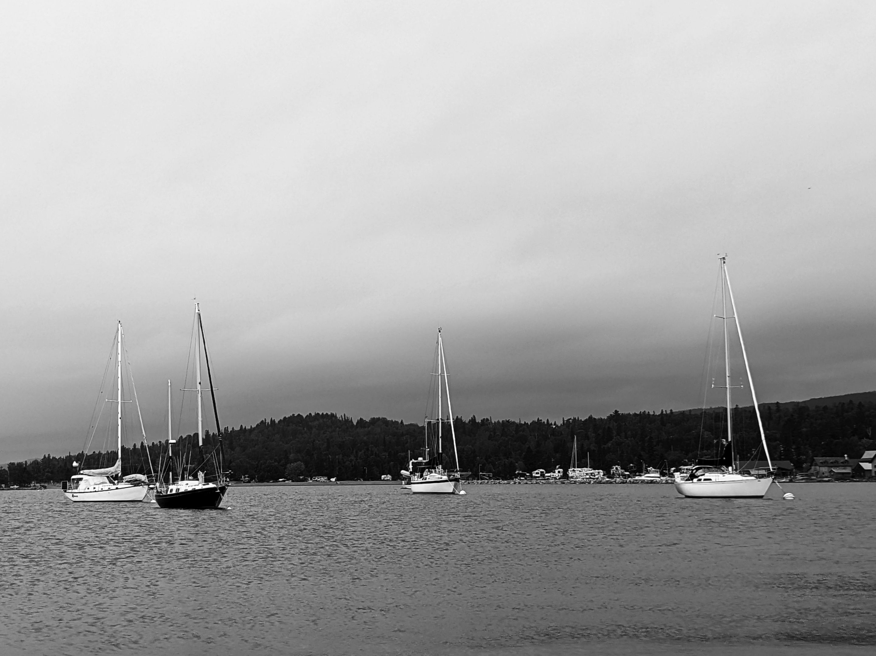 PXL_20210723_150847835_edited (2).jpeg