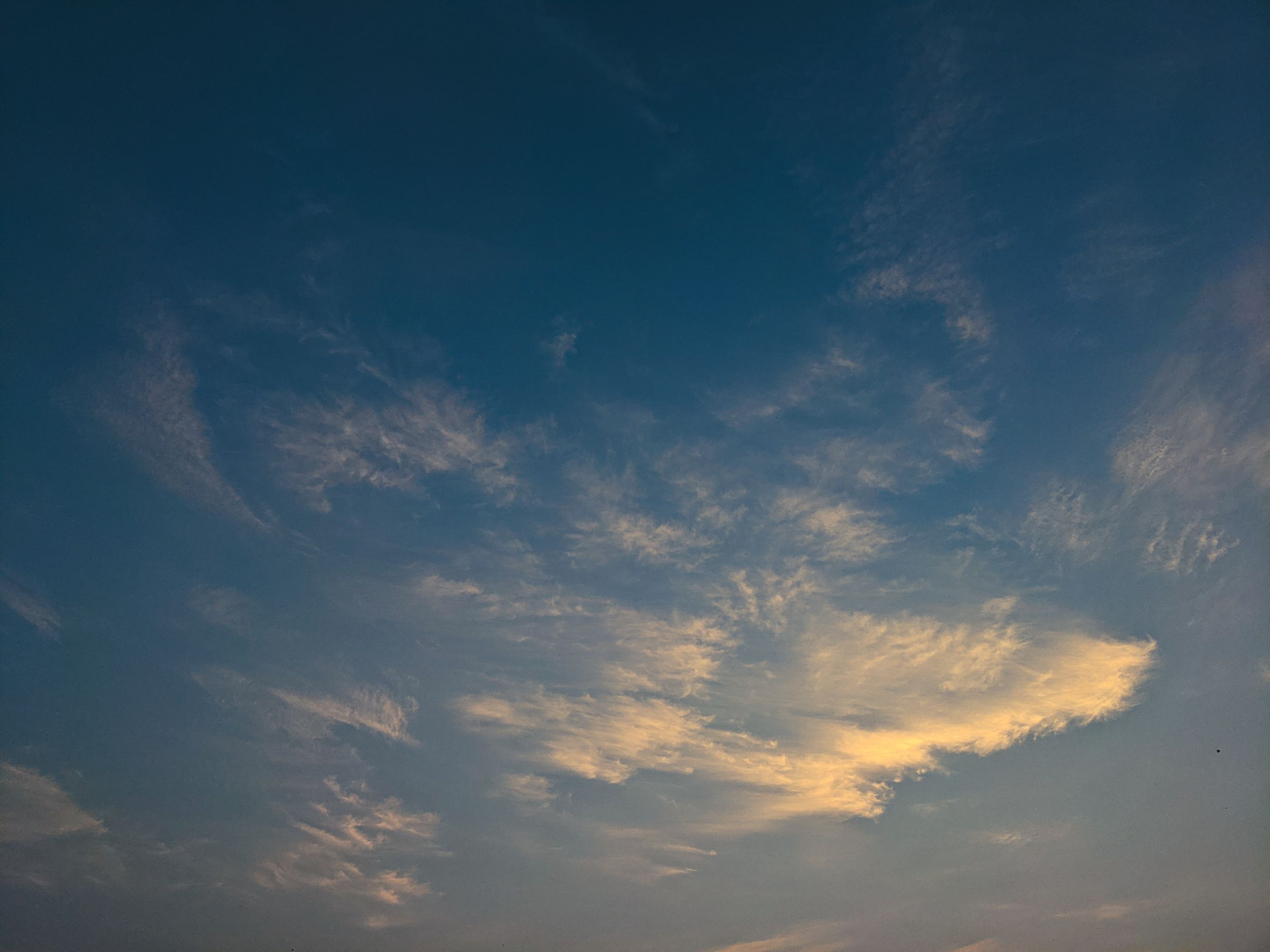 PXL_20210728_105304955 (1).jpg
