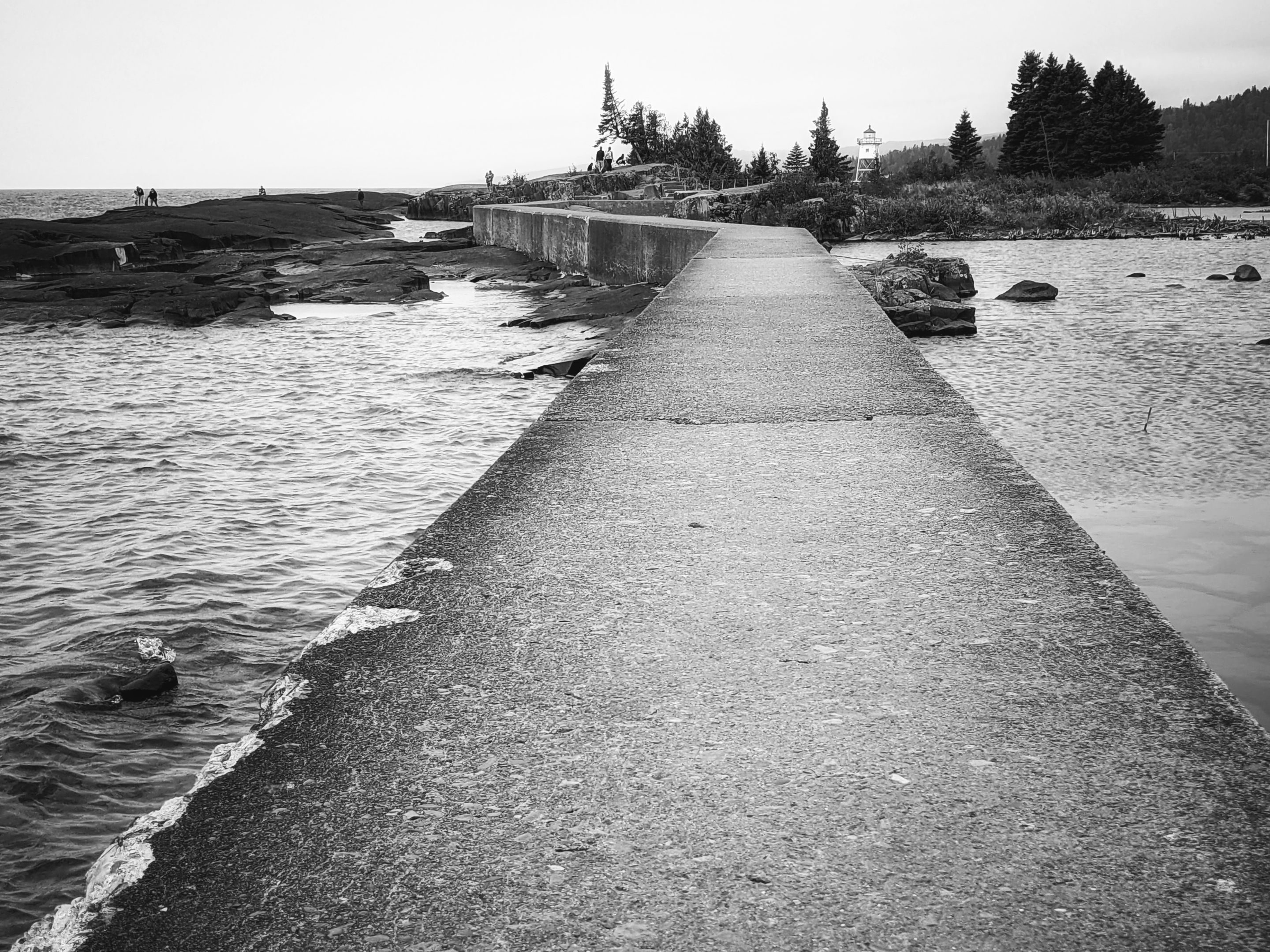 PXL_20210723_153035666_edited.jpeg