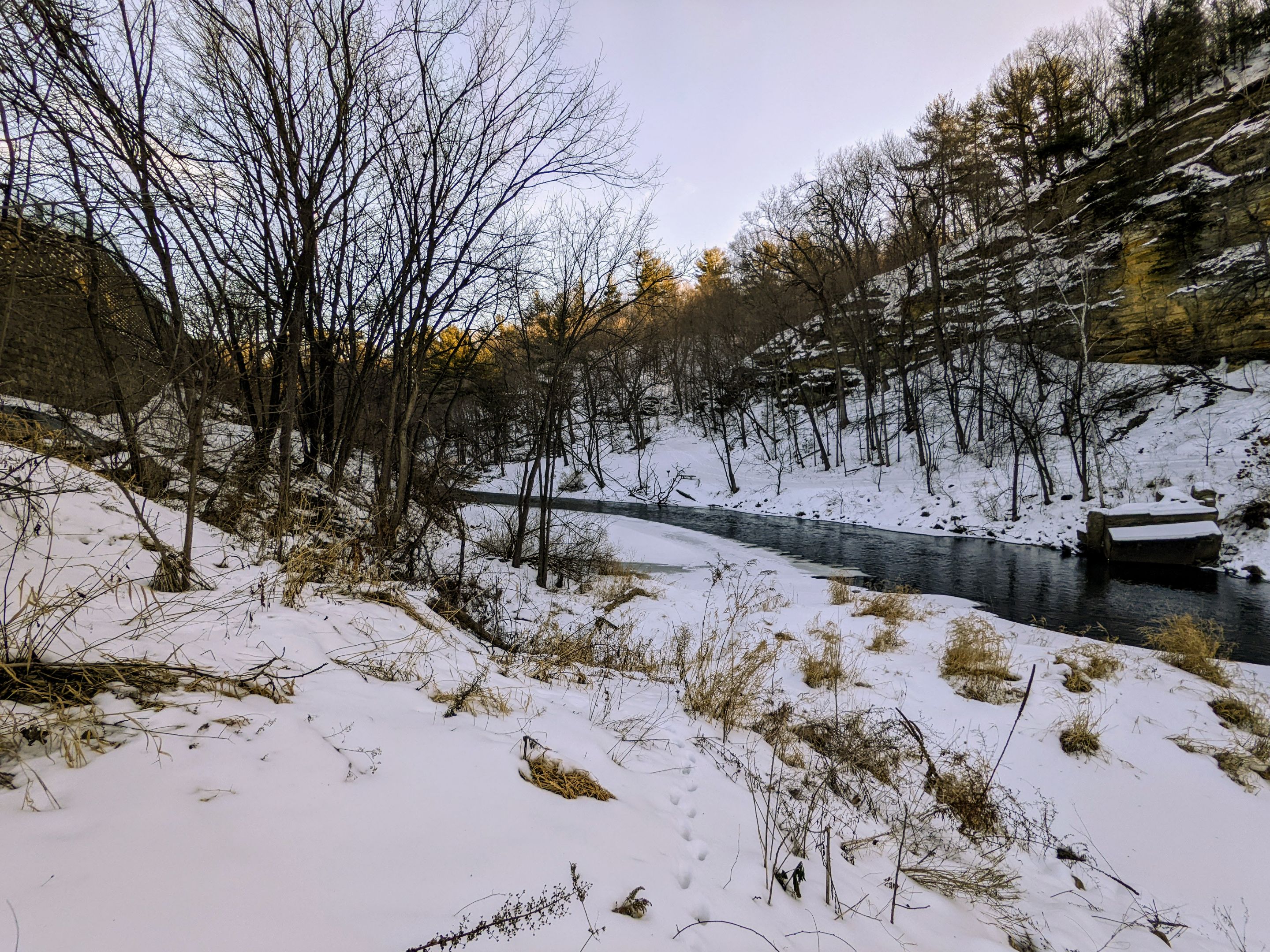 PicsArt_10-0…
Payout: 0.000 HBDWednesday Walking in the Frigid Cold
2022-01-20 02:36![PXL_20220119_154948123.MP.jpg