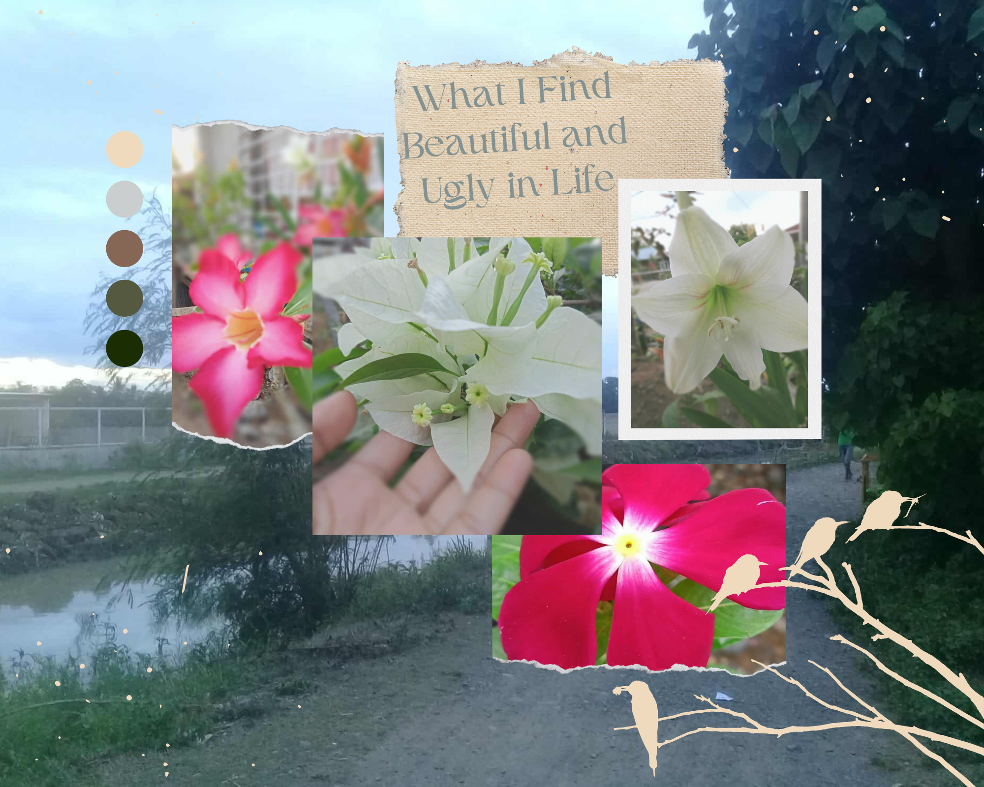 What I Find Beautiful and Ugly in Life.png