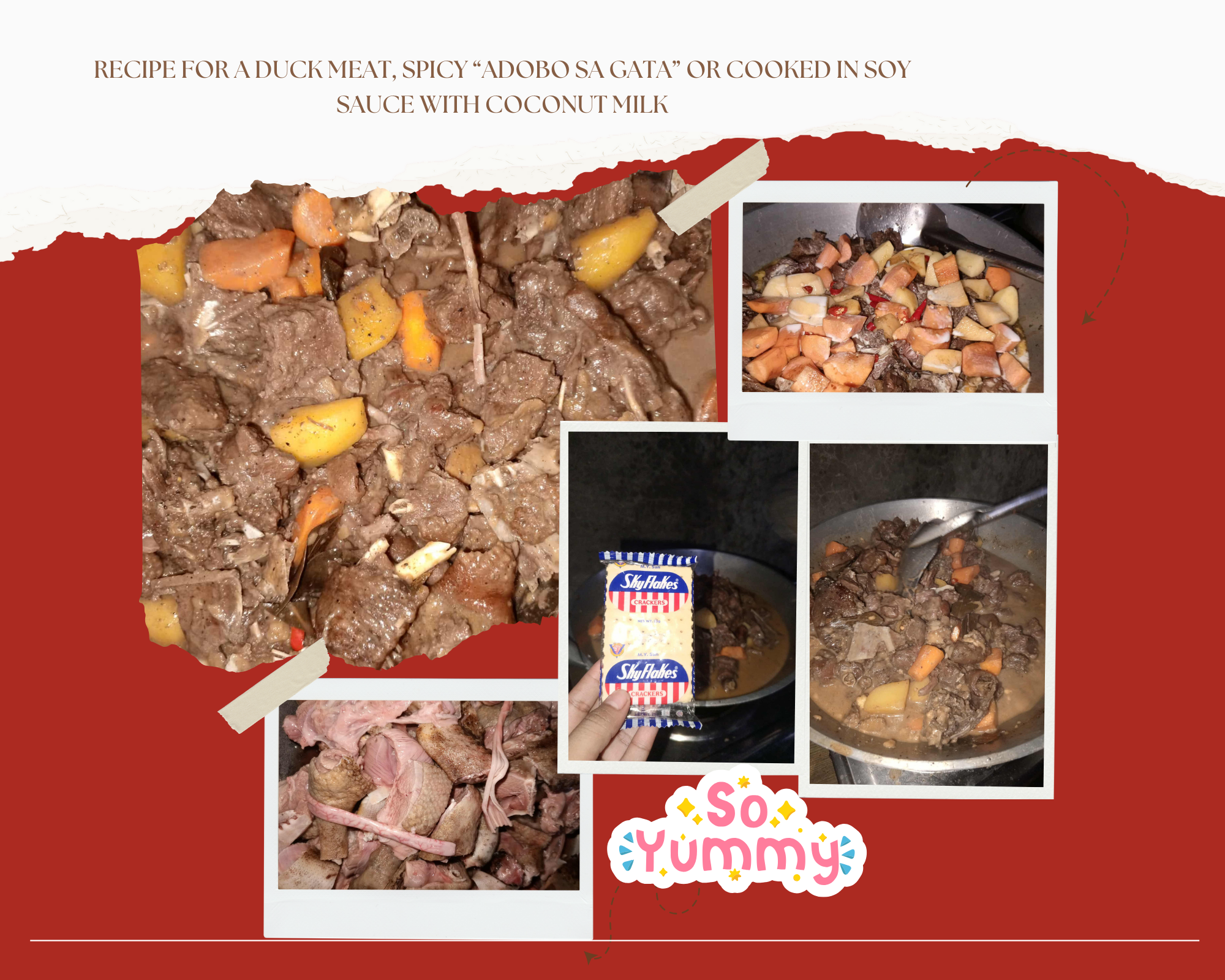 Recipe for a Duck Meat, Spicy “Adobo sa Gata” or cooked in Soy Sauce with Coconut Milk.png
