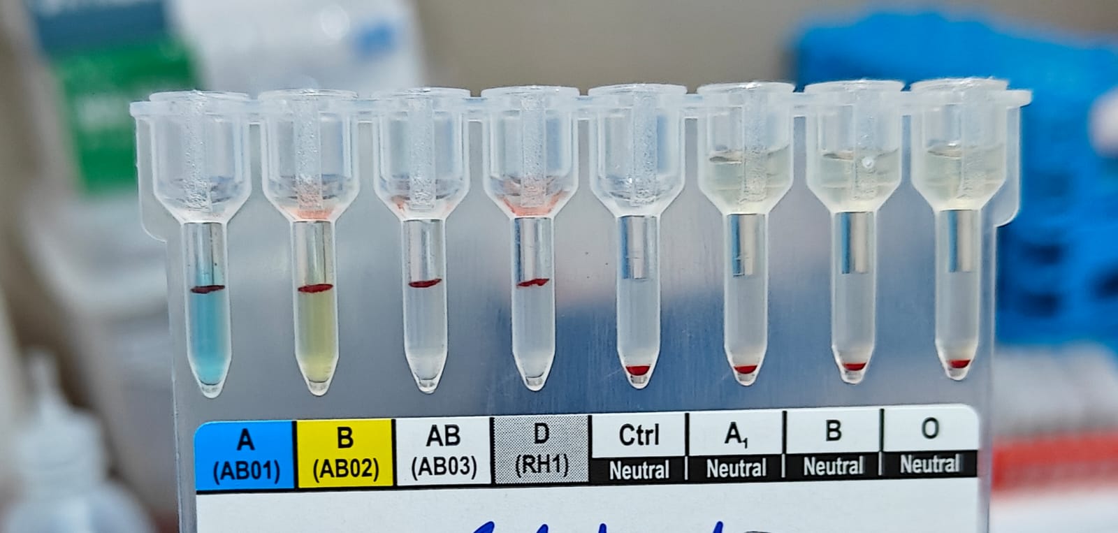 WhatsApp Image 2025-10-09 at 14.20.57_5e7b6f32.jpg