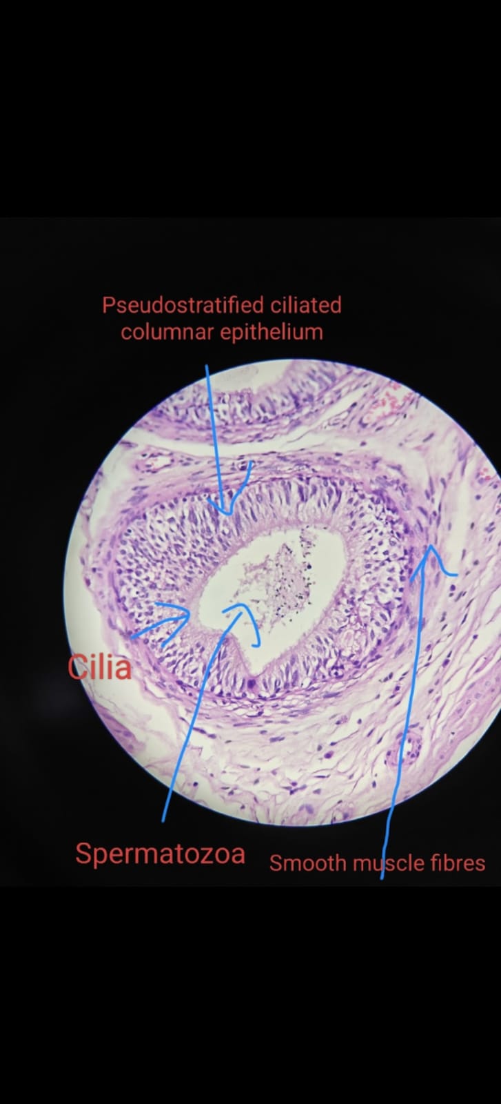 WhatsApp Image 2025-10-07 at 16.37.32_8a1d82fc.jpg