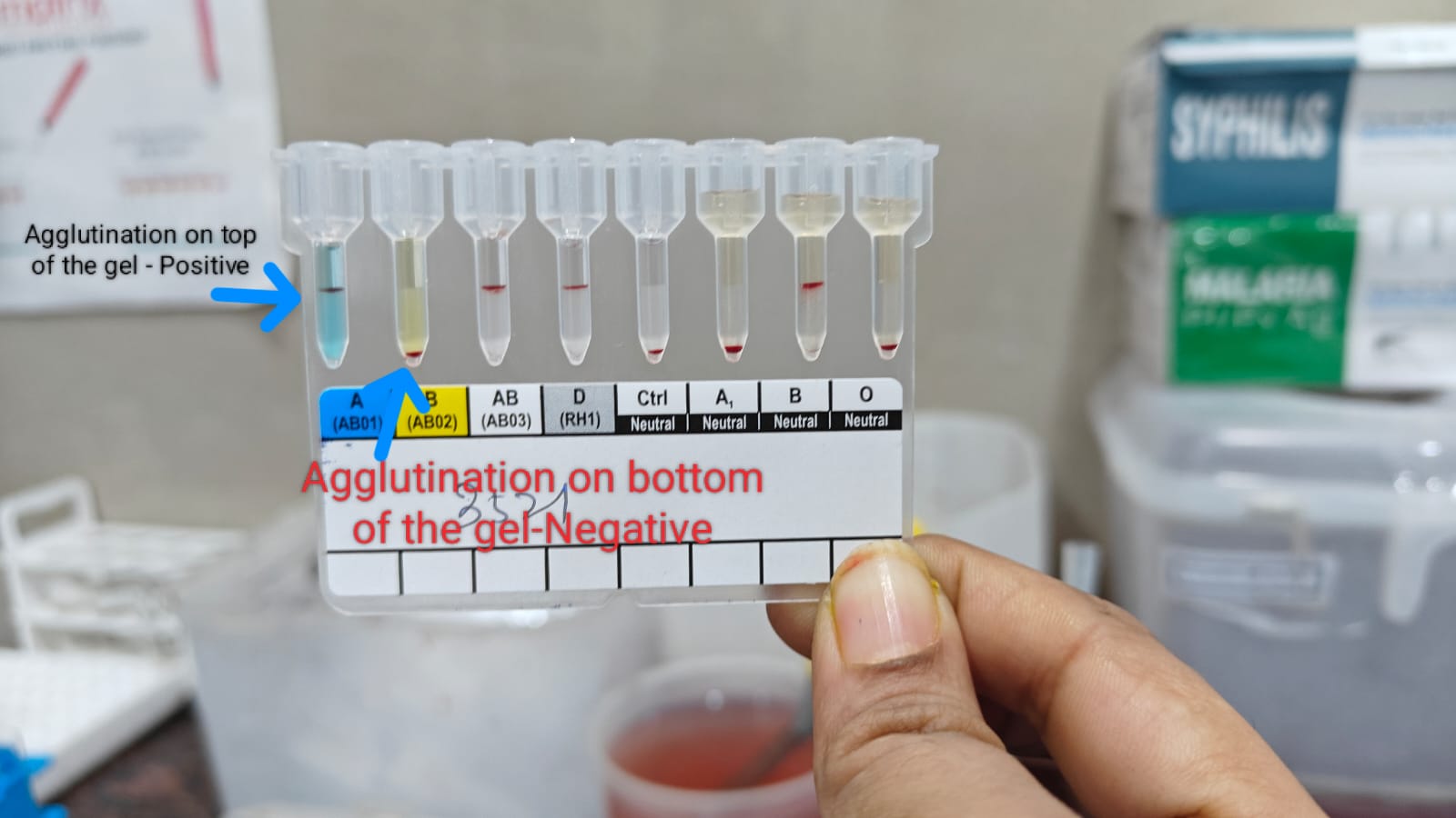 WhatsApp Image 2025-10-09 at 14.28.00_e7837b46.jpg