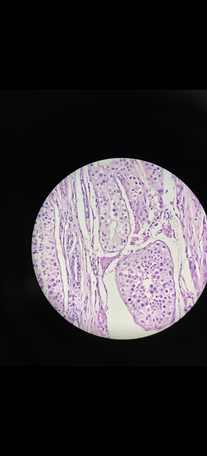 WhatsApp Image 2025-10-07 at 16.40.48_a83c2bc5.jpg