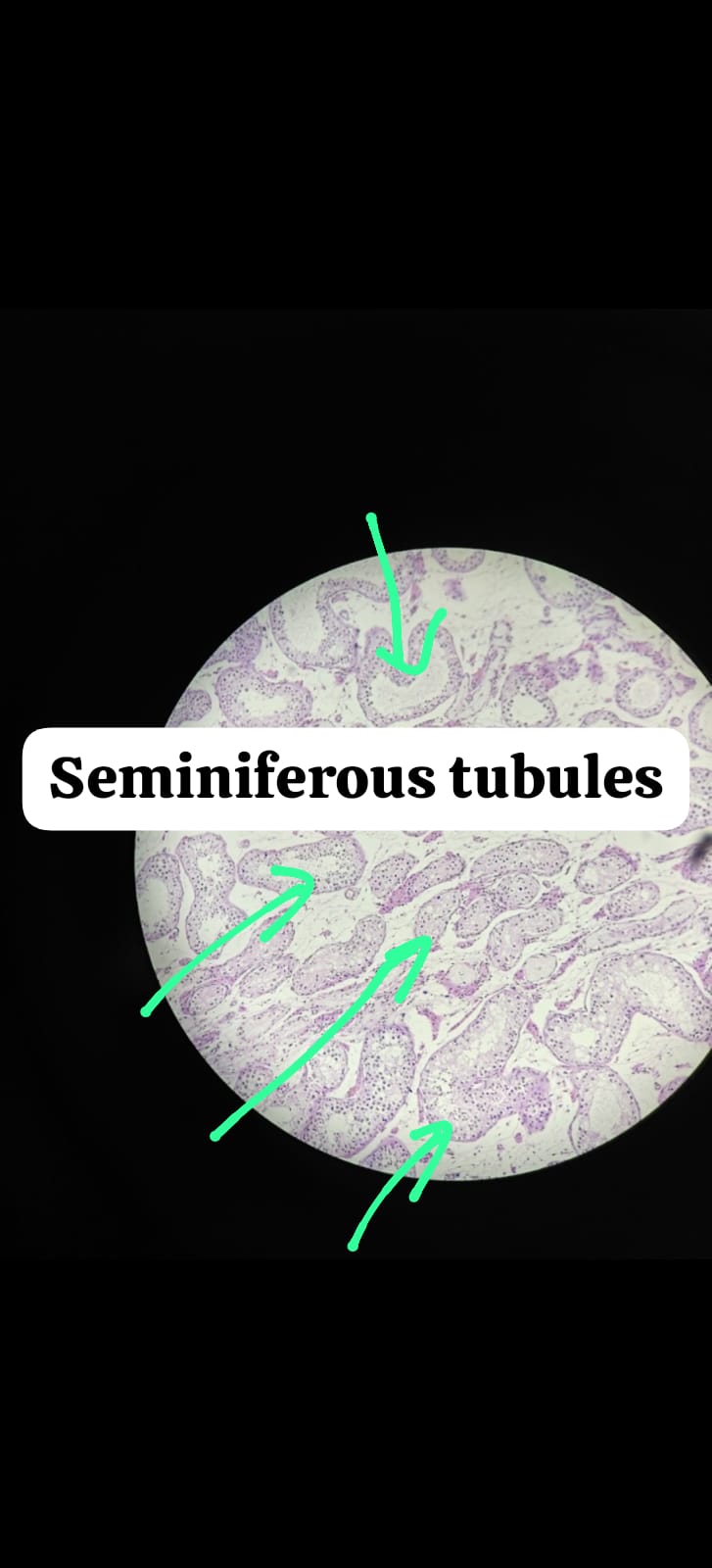 WhatsApp Image 2025-10-07 at 16.43.23_90e23cb9.jpg