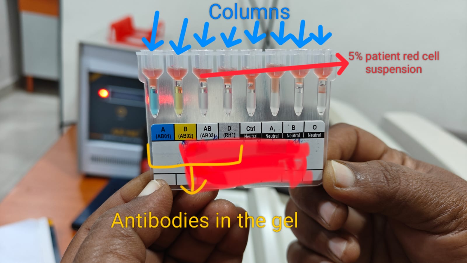 WhatsApp Image 2025-10-09 at 14.49.21_1926c93b.jpg