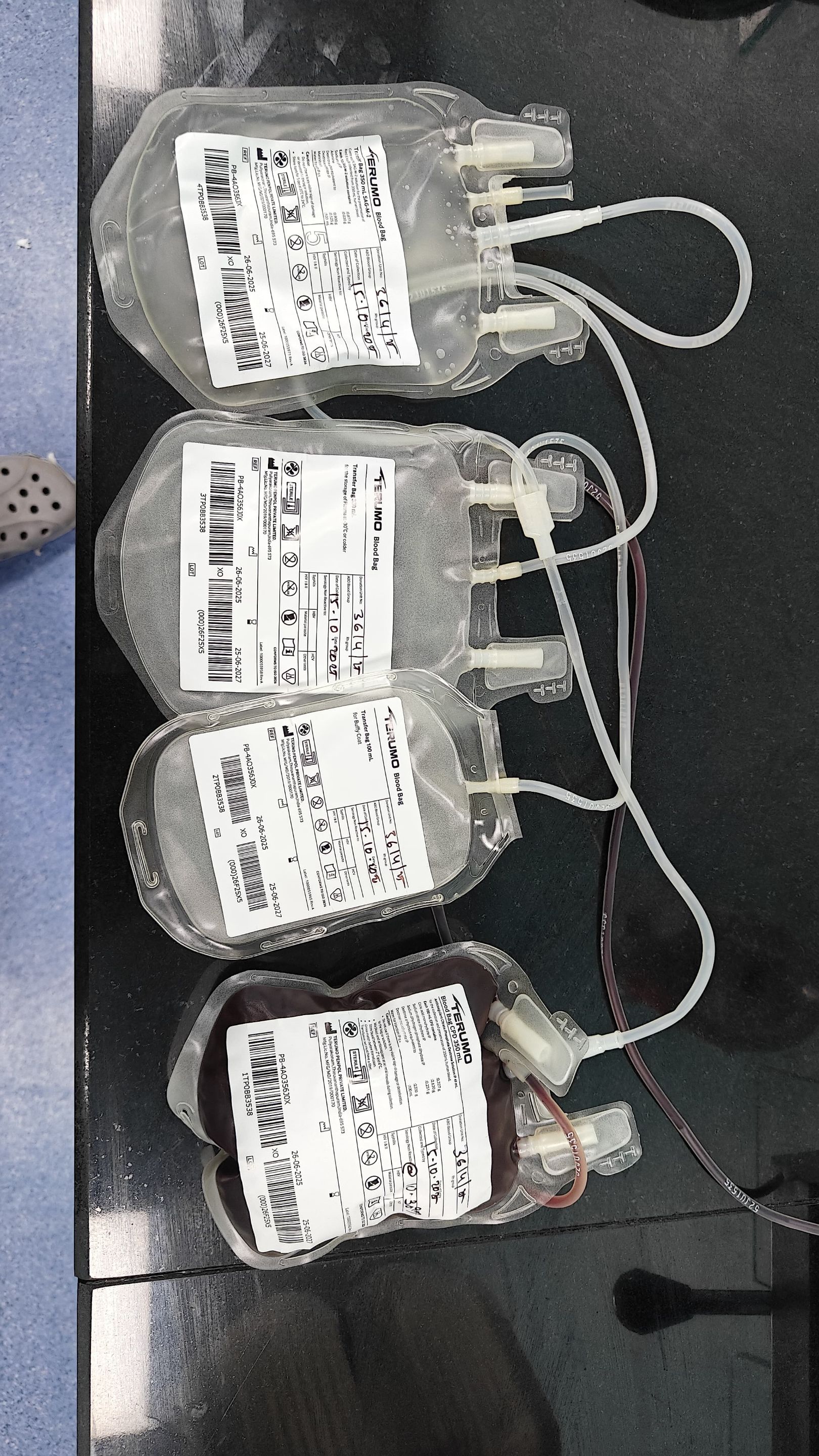 WhatsApp Image 2025-10-15 at 14.45.49_f8255a21.jpg