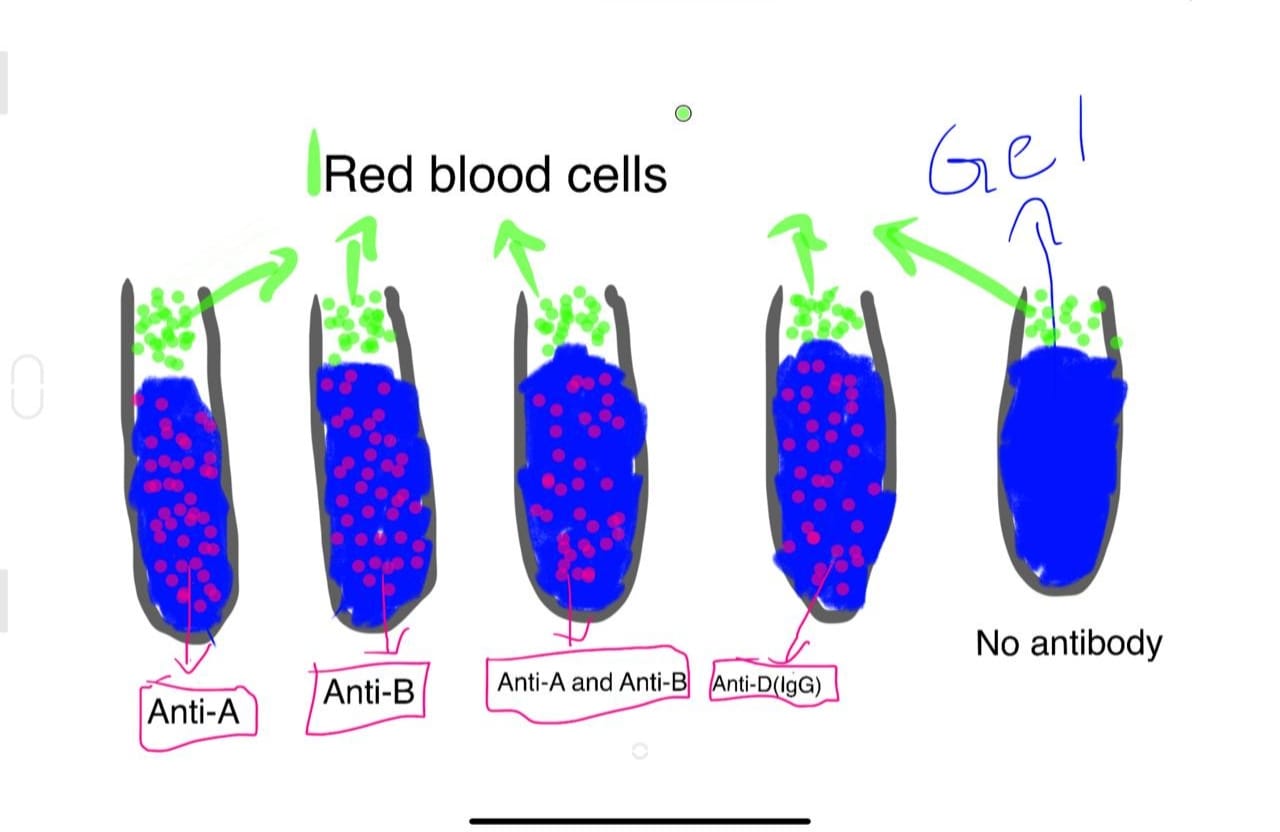 WhatsApp Image 2025-10-09 at 13.07.26_f46bc7df.jpg