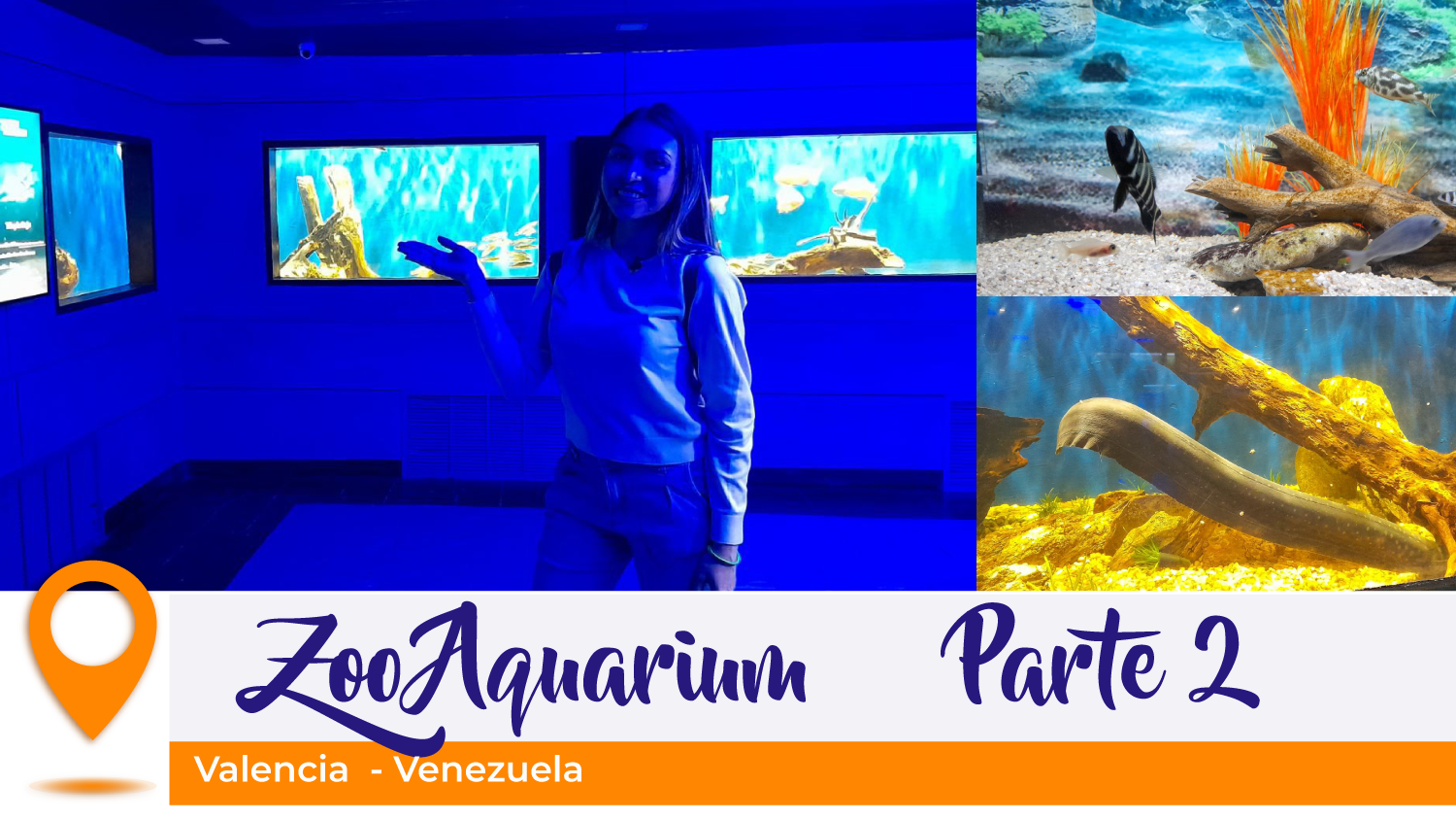 zoo-aquarium.png