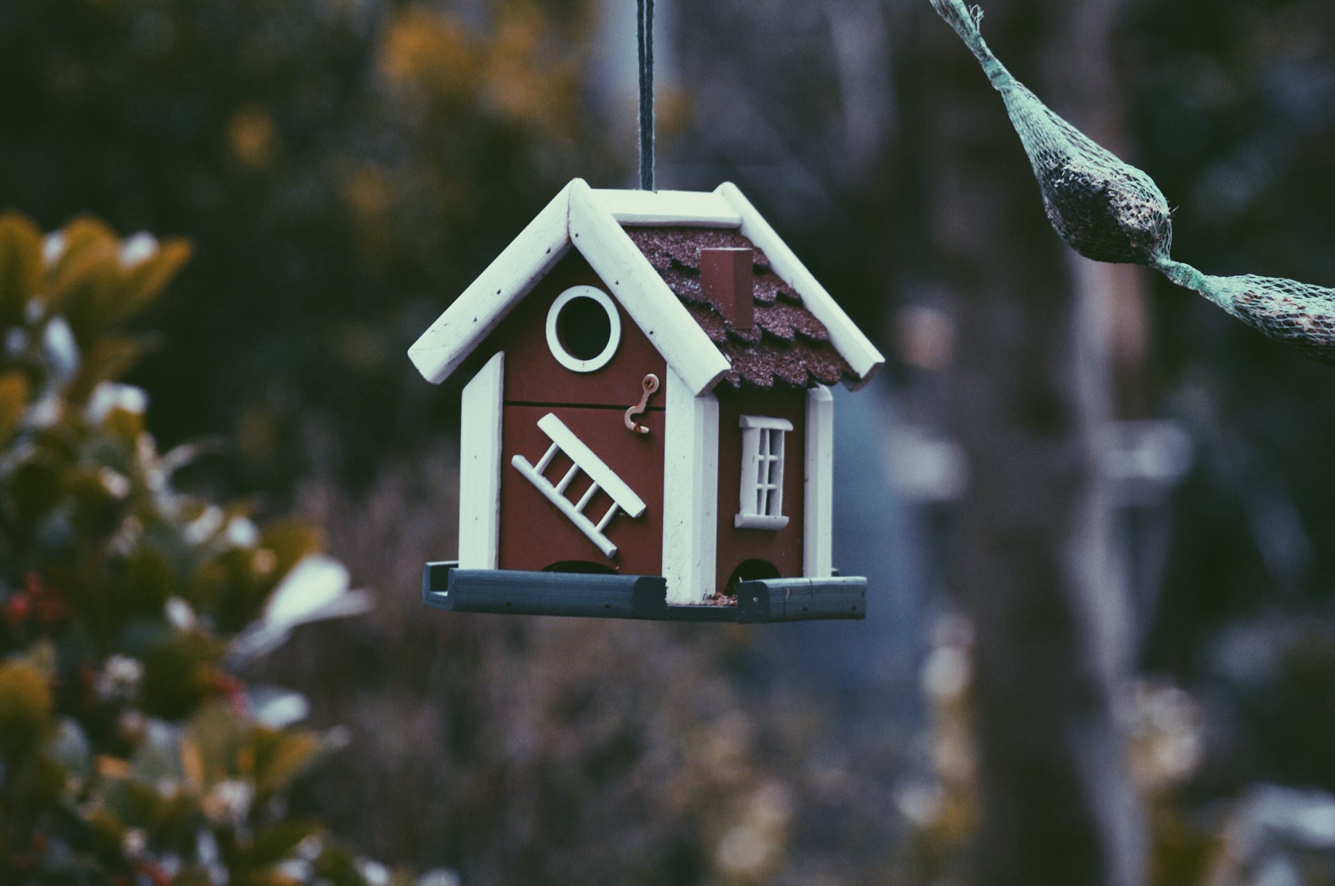 harmen-jelle-van-mourik-0yfWDwHOB0g-unsplash_1920.jpg