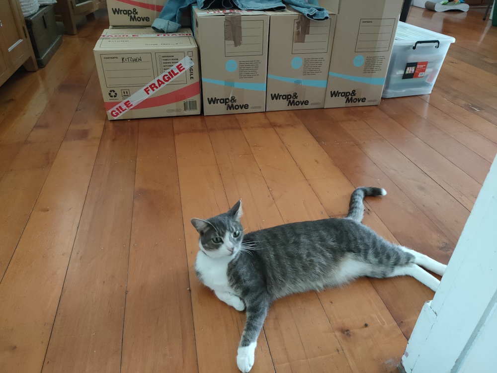 Rey_MovingBoxes_Jan2022.jpg