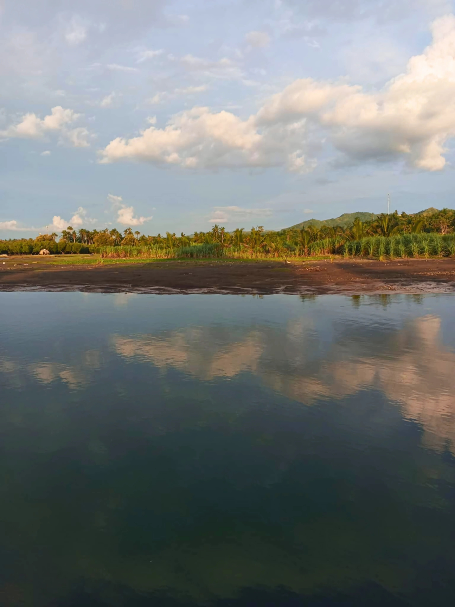 Untitled design (4).png