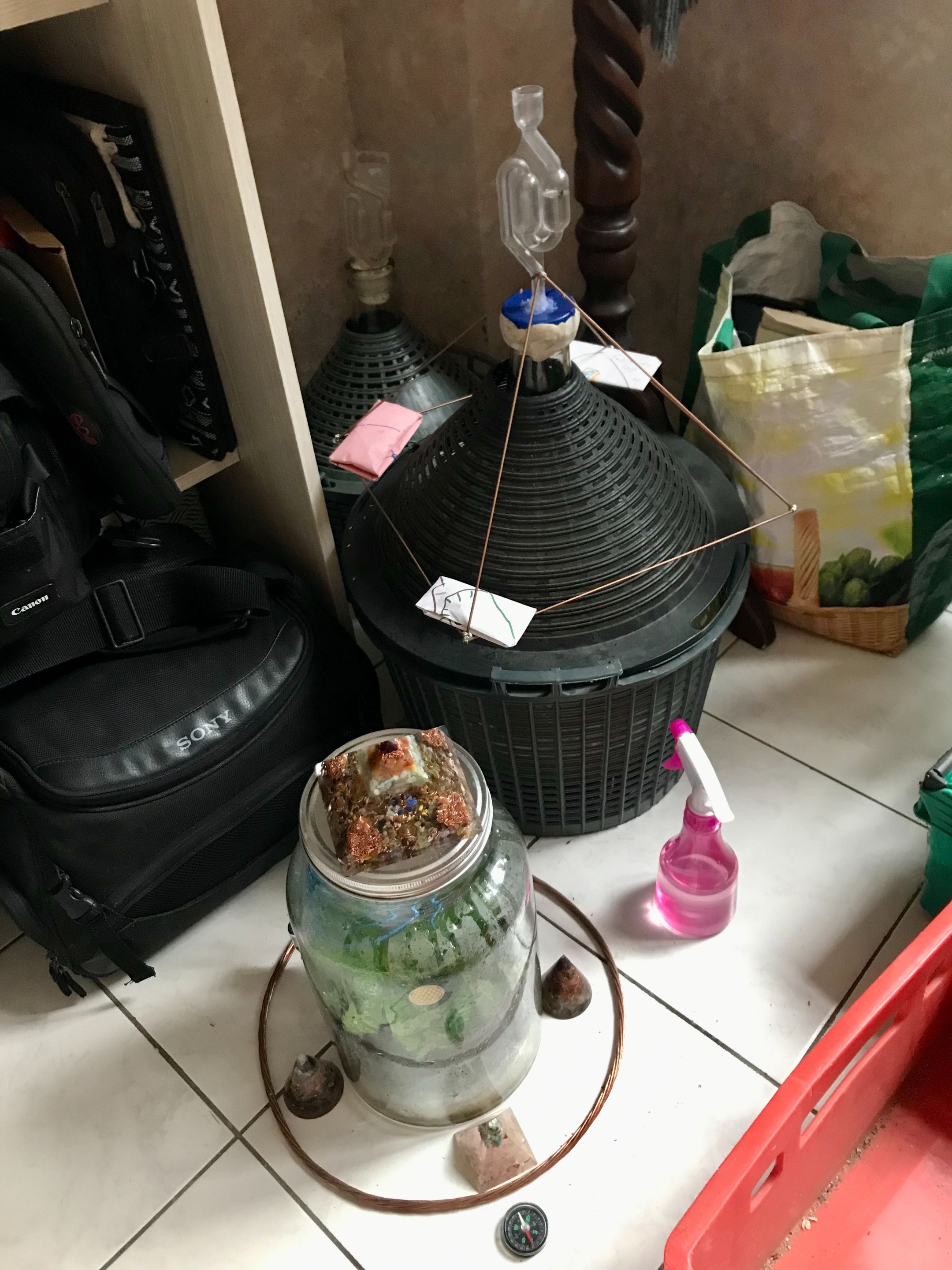 IMG_4701.jpeg