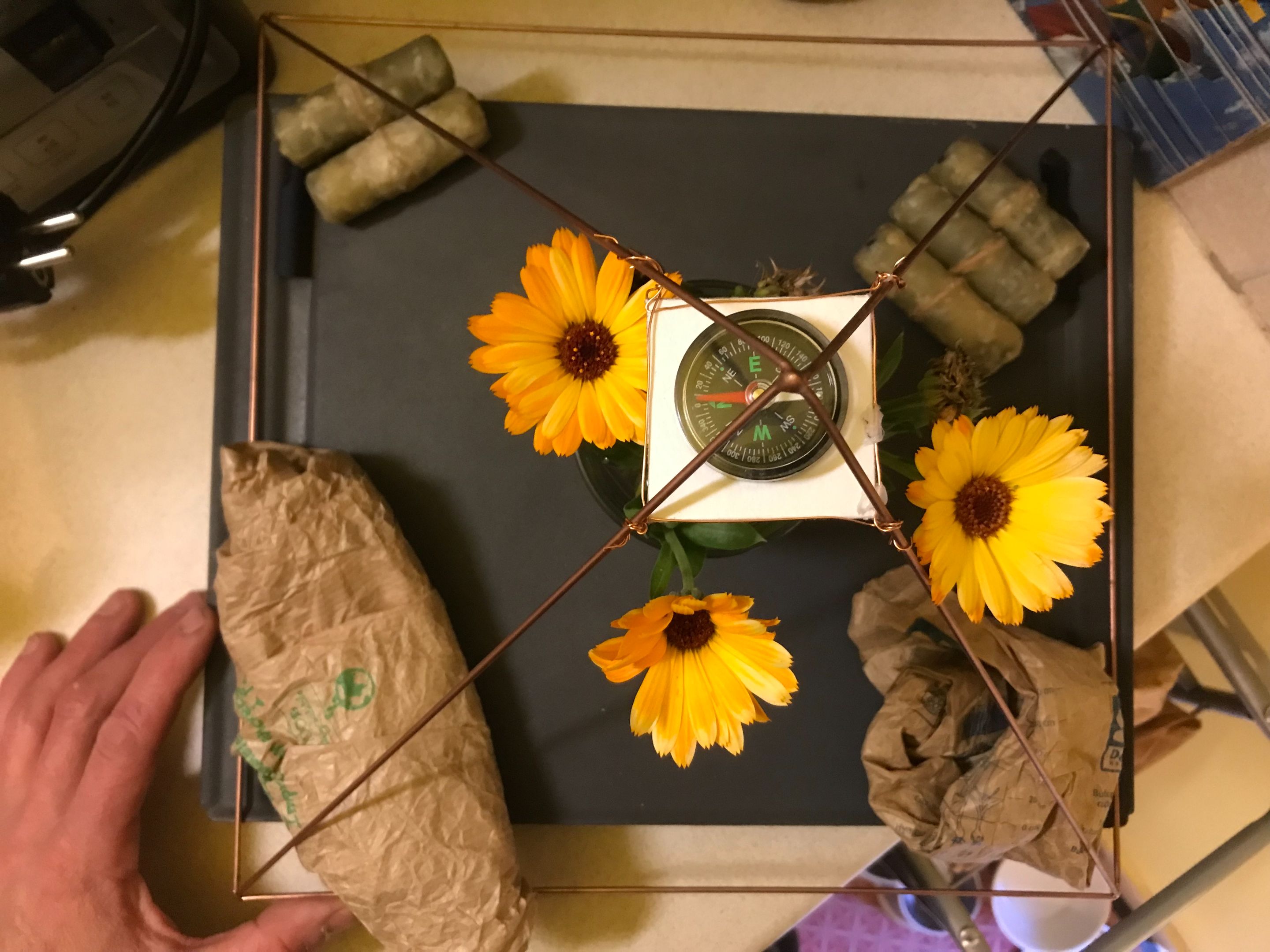 IMG_0166.jpeg