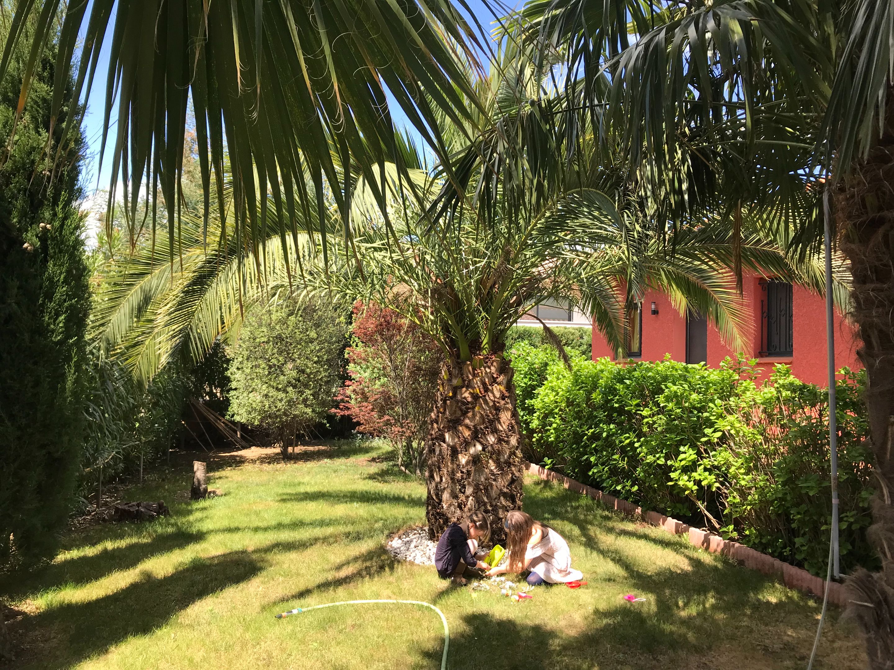 IMG_3617.jpeg