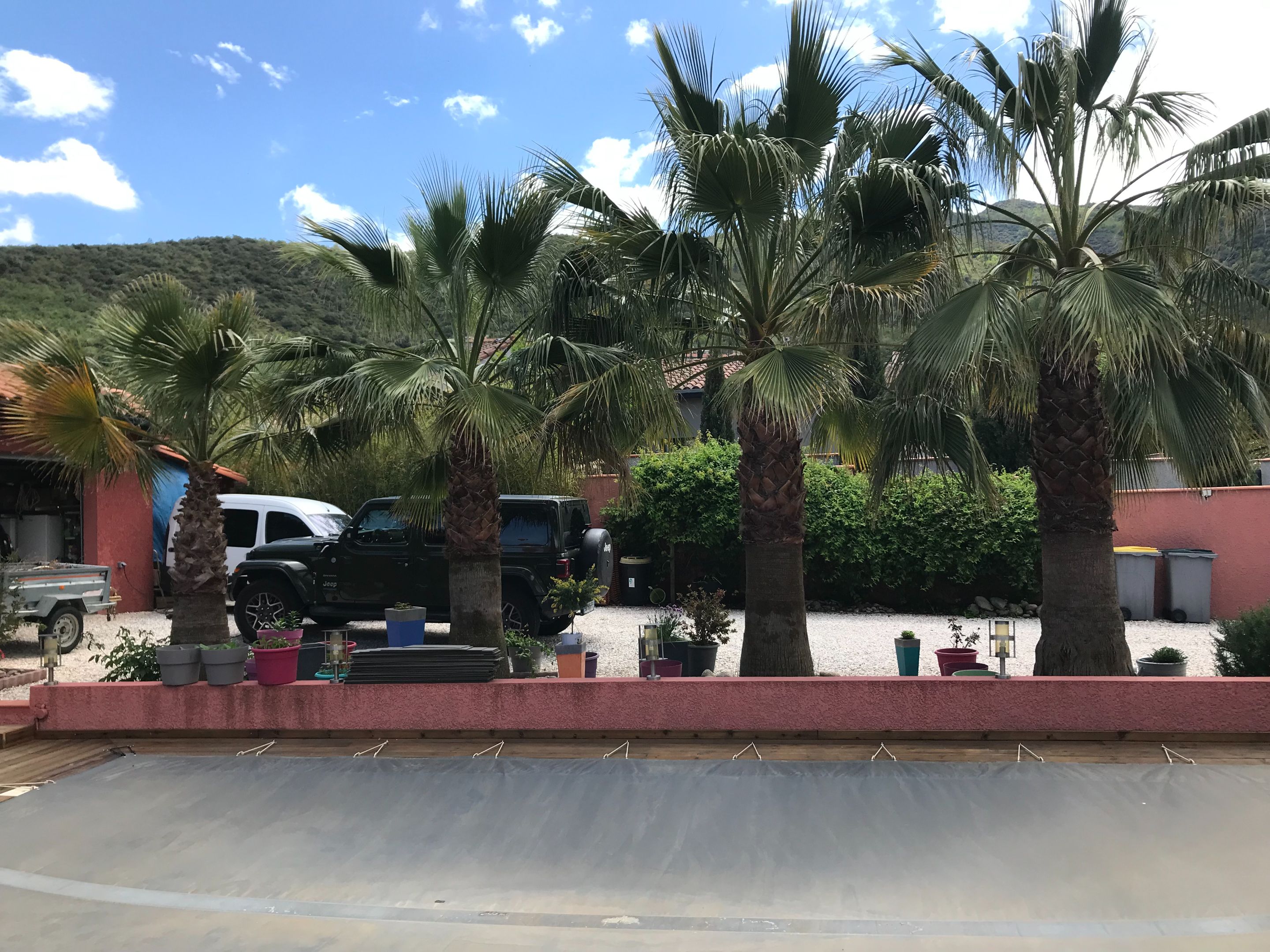 IMG_3609.jpeg